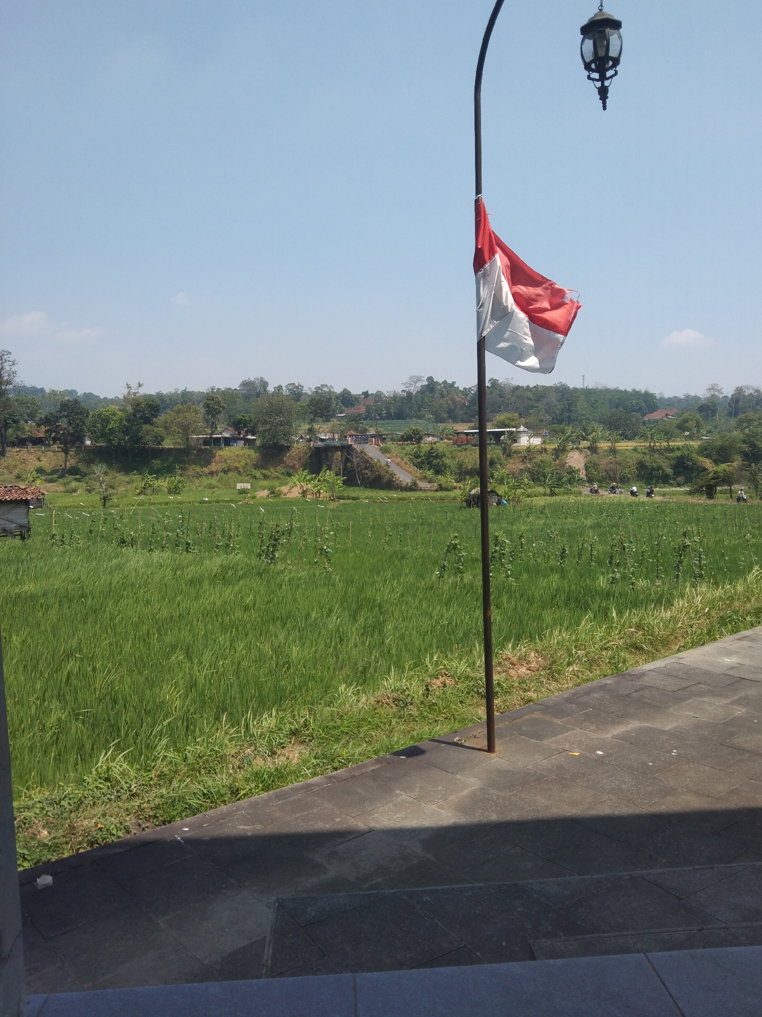 The image depicts a rural landscape with a prominent Indonesian flag flying from a metal pole. The flag, red and white, is partially unfurled and flutters against a clear blue sky. A dark-colored lantern hangs from an arm extending from the pole. In the foreground, a paved walkway with dark gray square tiles forms a diagonal line across the bottom half of the image, with a shadow cast by the flagpole. Beyond the walkway, a lush green rice paddy stretches into the midground, with rows of young plants. Several small, wooden structures with thatched roofs are visible within the paddy. A road winds through the midground, and on the far side of the road, a cluster of trees and vegetation forms a verdant backdrop. Small buildings, some with red roofs, are interspersed among the trees. The scene is likely located in Keling, Indonesia, given the presence of the Indonesian flag and the characteristic rural landscape. The image captures a bright, sunny day. No people are clearly identifiable in the immediate foreground or midground.
