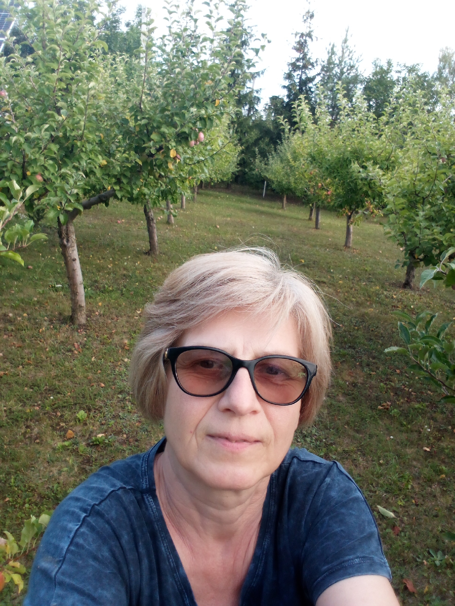 A middle-aged woman with blonde hair and glasses takes a selfie in an orchard. She is wearing a dark blue t-shirt. The orchard has rows of apple trees with green leaves and some apples visible. The ground is covered in grass with fallen leaves. In the background, there are taller trees. The image appears to have been taken outdoors during daylight. The location of Chemerivtsi, Ukraine, is not evident from the image itself.