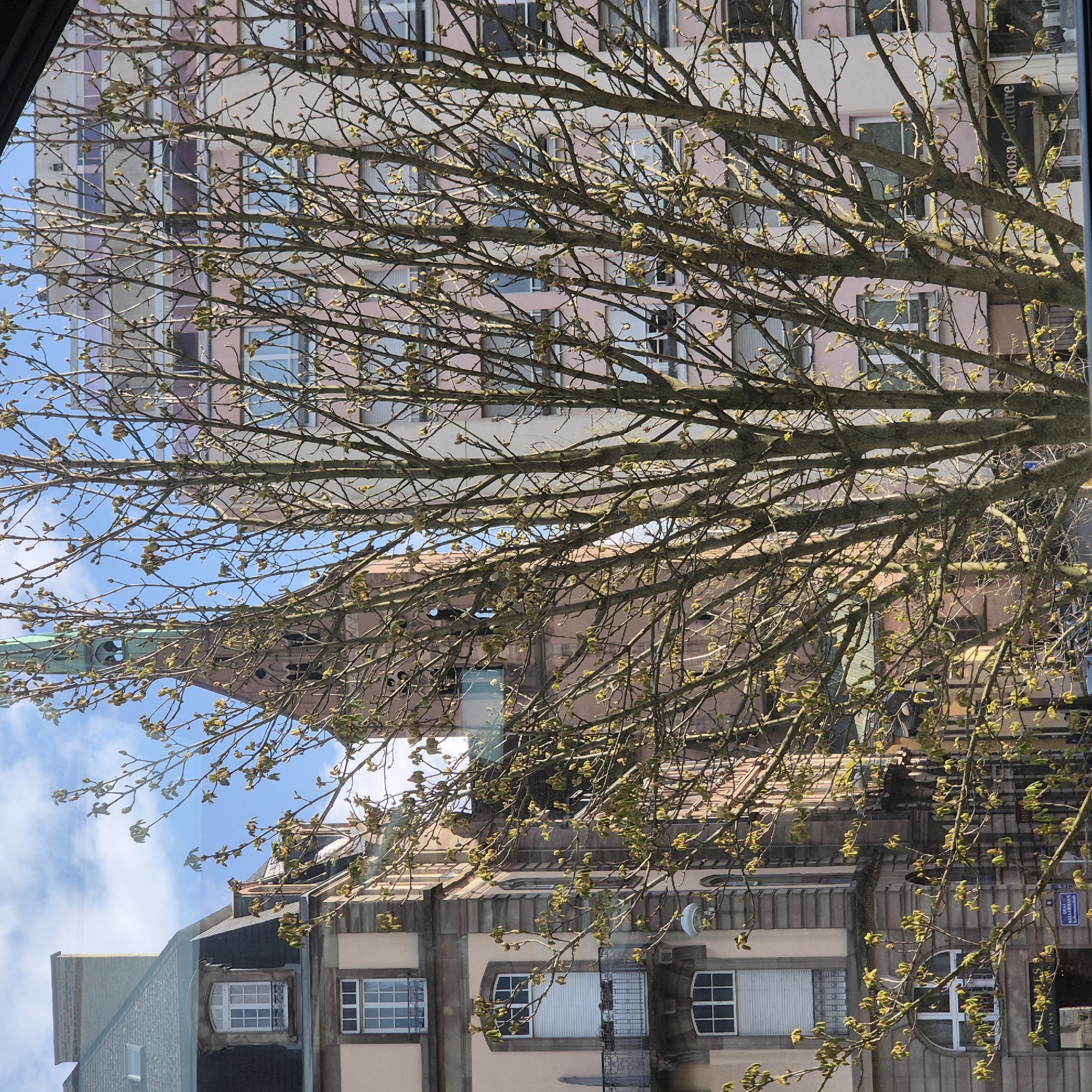 The image shows a view from a window in Strasbourg, France. A leafless tree with buds obscures part of the scene. In the background, a multi-story pink building with numerous windows is visible. Below that, a building with an ornate facade and a turret roof stands. To the left of this building is the tip of a tower. A street sign is visible to the right. The sky is blue with some clouds.