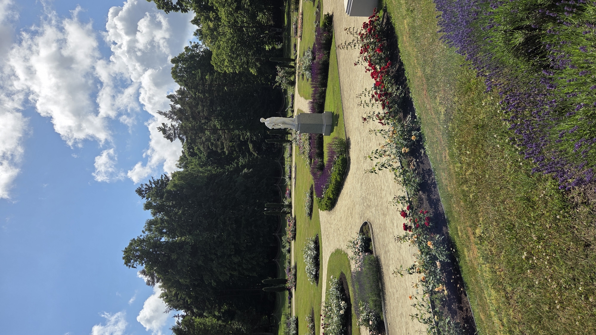 This is a landscape photograph of the Palanga Botanical Garden in Palanga, Lithuania. The image captures a well-maintained garden on a sunny day with scattered white clouds in a blue sky.
In the foreground, a grassy slope is visible, with a bed of blooming purple lavender flowers in the lower right corner. A curved pathway made of light-colored gravel winds through the garden. Along the edges of this pathway, there are flowerbeds filled with roses of various colors, including red and yellow, as well as other flowering plants in shades of pink and white.
Further into the garden, on a raised pedestal, stands a white classical-style statue of a human figure. Around the statue and throughout the garden are neatly manicured lawns and more flowerbeds featuring purple and pink blooms. In the background, a dark green fence separates the garden from a dense line of trees that form the edge of the garden. The overall scene depicts a serene and picturesque botanical garden.