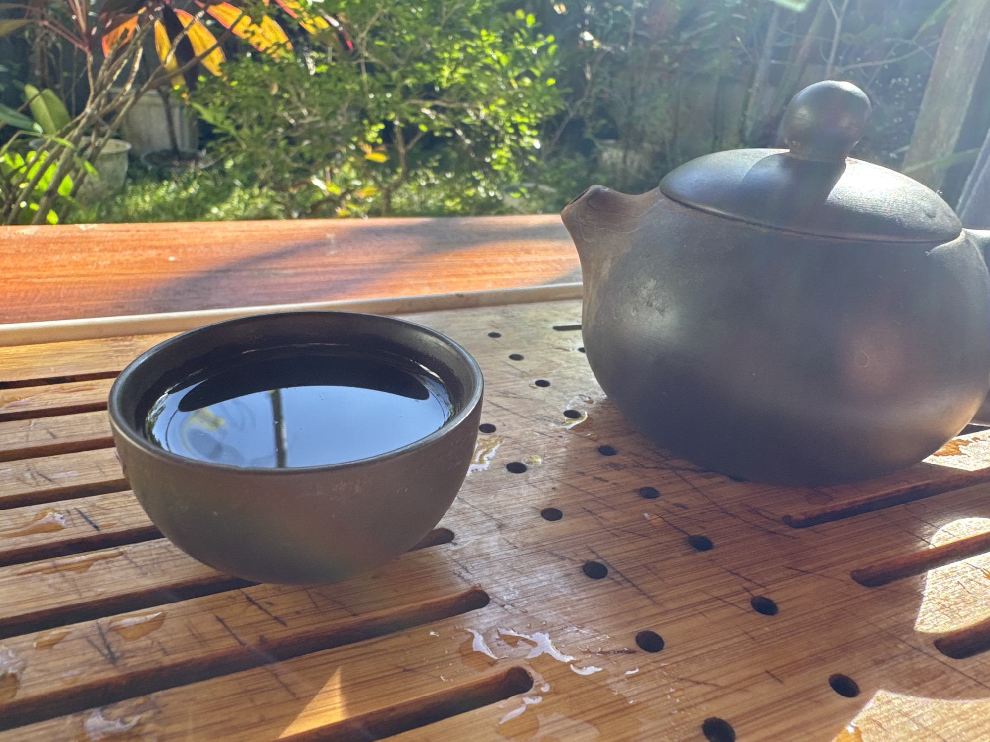 A tea set is arranged on a wooden tray with a natural background. The tea set includes a dark-colored teapot with a rounded body, a spout, and a lid topped with a knob. To the left of the teapot sits a matching dark-colored tea cup filled with a dark liquid, likely tea. The wooden tray has a slatted design with circular perforations and appears wet in places, suggesting recent use. In the background, lush green foliage and brightly colored leaves are visible, bathed in dappled sunlight. The scene evokes a sense of tranquility, possibly set in a garden or outdoor seating area. While the exact location in Ubud District, Indonesia cannot be definitively determined from the image alone, the presence of abundant tropical greenery and the style of the tea set are consistent with the aesthetic often found in such settings. There are no people visible in the image.