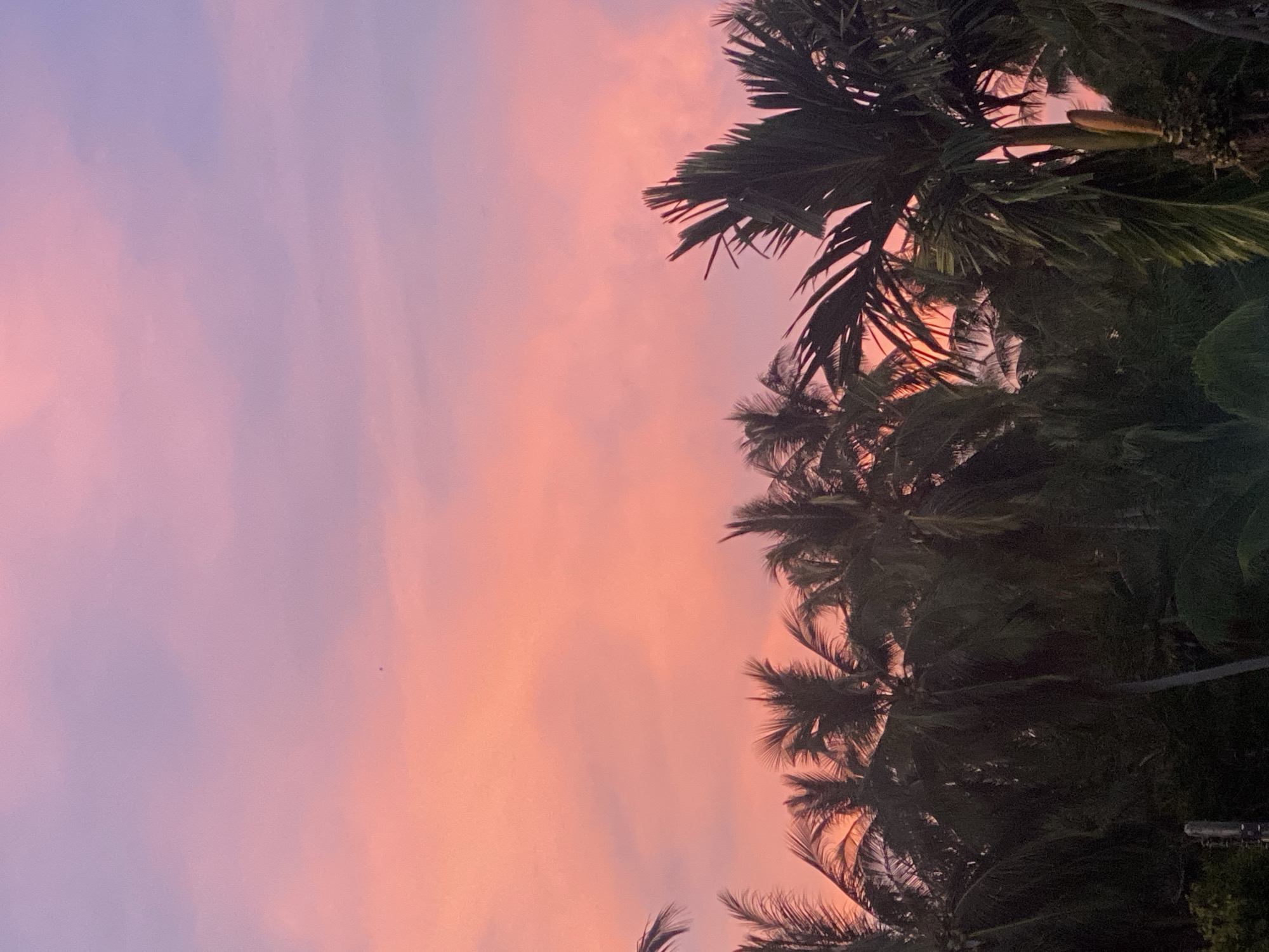 The image shows a vertical view of a sunset in Baan Kai, Thailand, dominated by pink and purple hues in the sky. Palm trees line the right side of the frame, their silhouettes dark against the vibrant sky. The vegetation appears lush and dense. No people are visible.