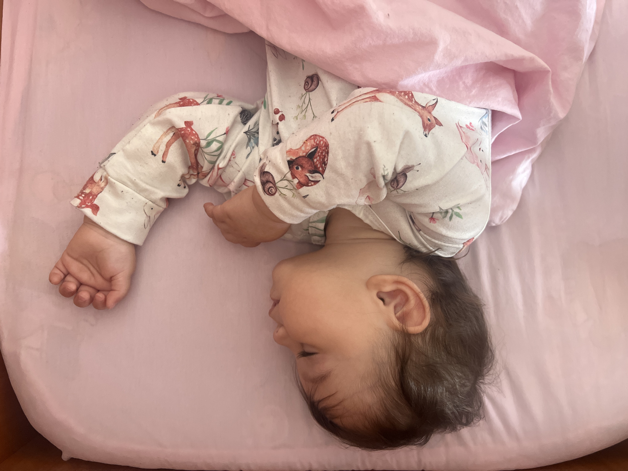 A baby lies in a pink crib in Elena, Bulgaria. The baby is wearing a patterned onesie with animals and is partially covered by a light pink blanket. The baby is lying on its side with its eyes closed and its head is near the bottom of the image. The baby's arm is extended out on the left side of the image. The crib is in a home environment.