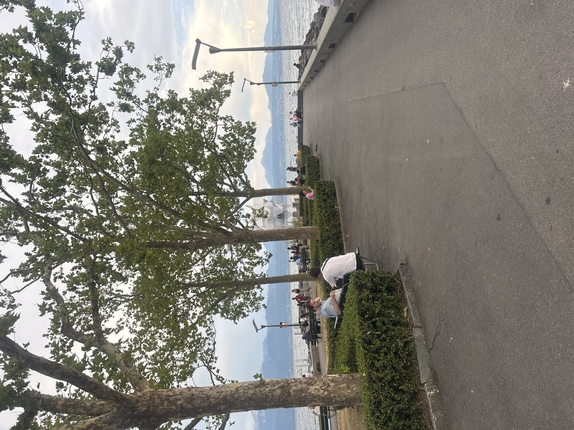 The image shows a scenic waterfront promenade in Lausanne, Switzerland, likely near the Ouchy district, on a cloudy day. Several mature trees with textured bark and green foliage line the pathway. In the foreground, two men are seated on a park bench, facing away from the camera. One man, wearing a light-colored shirt, is looking down at something in his lap. The other man, in a white shirt, is looking to his right. A low, manicured green hedge borders the seating area.
The paved promenade extends into the distance, with various people strolling and sitting on benches. In the middle ground, a lamppost stands next to the walkway. The background features a wide expanse of water, likely Lake Geneva, with a distant mountainous landscape under a sky with scattered clouds. The mountains are snow-capped in some areas. The overall atmosphere is serene and leisurely.