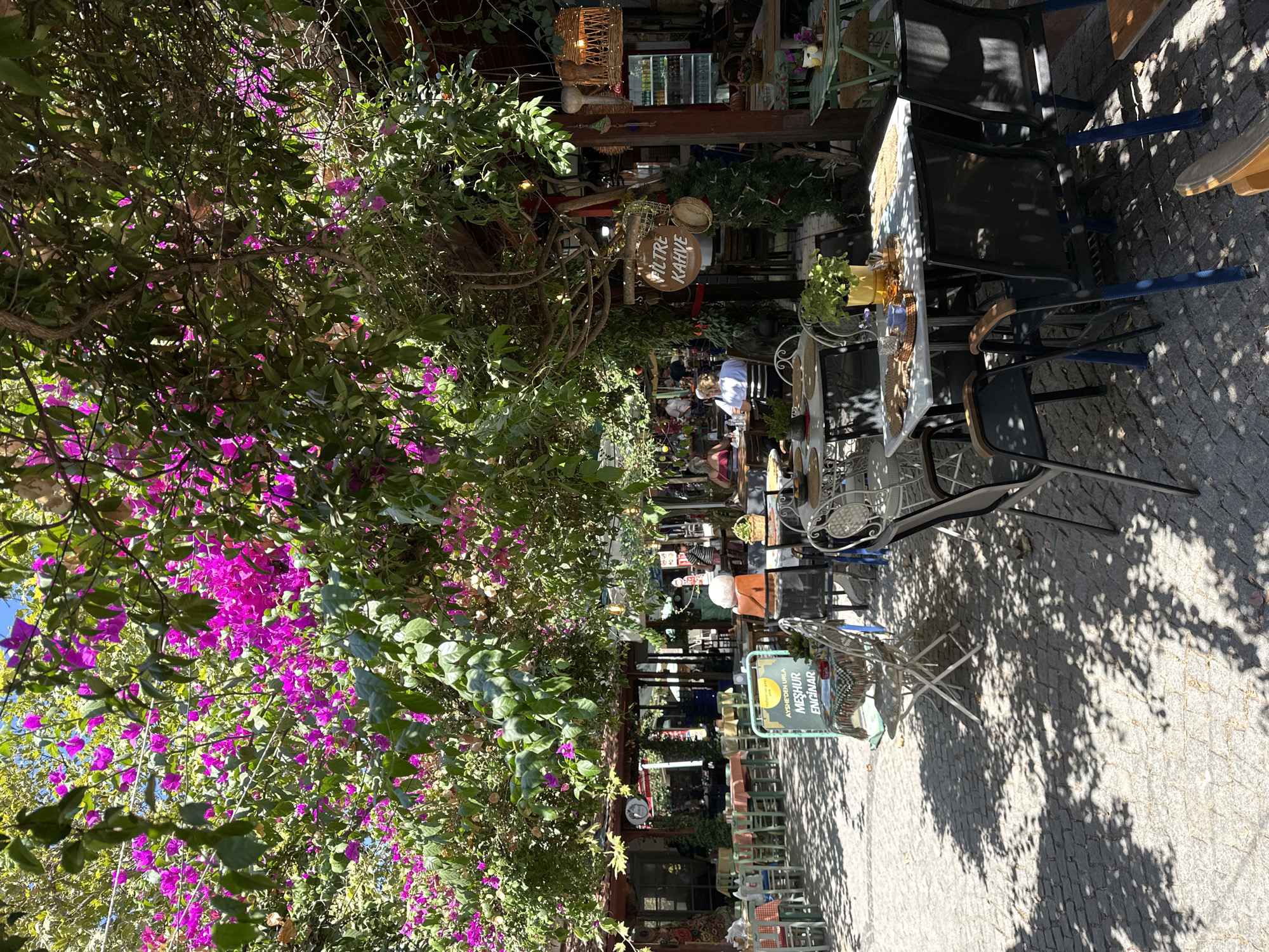 The image depicts an outdoor seating area of a cafe, likely located in Urla, Turkey, due to the sign in the foreground reading "AYŞE'DEN URLA MEŞHUR ENGİNAR". Vibrant pink bougainvillea flowers cascade from overhead branches, providing shade over the stone-paved ground. Several tables and chairs are arranged in the seating area. Some tables are set with placemats, glasses, and a small blue cup, with potted plants adding greenery. In the background, more tables and patrons are visible, suggesting a bustling cafe environment. Signs, including one that reads "FİLTRE KAHVE" (filter coffee), are attached to wooden posts, further indicating the establishment's nature. The scene is bathed in sunlight, casting dappled shadows from the foliage onto the ground.