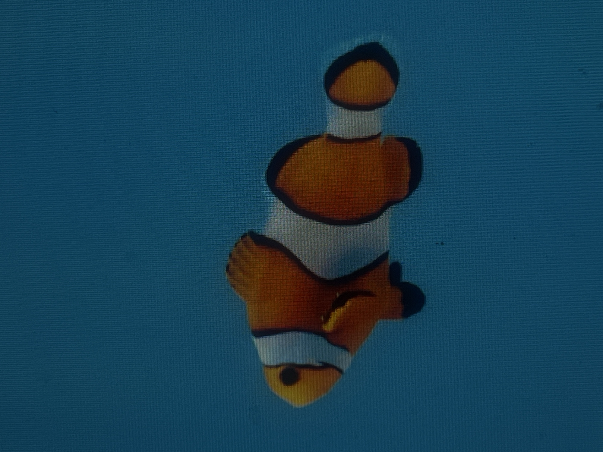A clownfish is depicted in profile against a solid teal background. The fish is primarily orange with three vertical white stripes outlined in black. The tail fin is also orange with a black outline. The fish's eye is black. The background appears textured, resembling woven fabric, and has a slightly mottled quality. There is no indication of a city or specific location within the image.