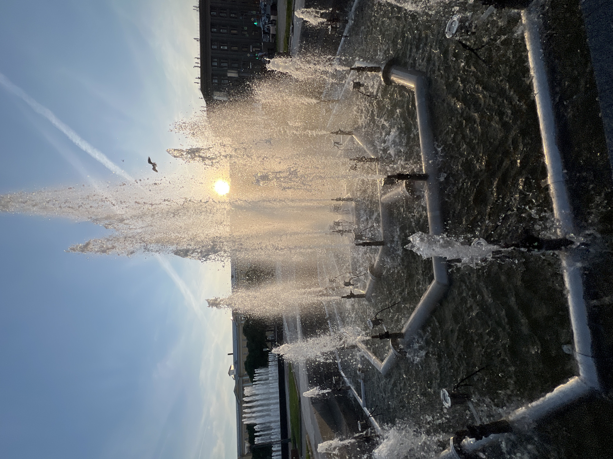 The image depicts a section of a large, modern fountain in Saint Petersburg, Russia. The fountain consists of numerous water jets spraying water upwards and outwards, creating a dynamic and lively scene. The water is illuminated by the sun, which is visible as a bright orb low in the sky, suggesting it is either early morning or late afternoon. The sun's rays create a golden hue on the water spray, highlighting its texture and movement.
In the background, a dark, multi-story building with visible windows is present, along with a clear blue sky with a few wispy clouds and a contrail from an aircraft. A small bird is captured in flight against the sky, near the sun. The fountain is constructed with metal pipes and nozzles, which are partially submerged in the water. The water itself appears dark and reflective, with the spray creating a frothy, bright white effect. In the distance, beyond the main section of the fountain, another line of smaller, synchronized water jets can be seen.
The overall impression is one of a bright, energetic, and possibly pleasant outdoor setting in an urban environment. The time of day is indicated by the low sun, and the location is confirmed as Saint Petersburg, Russia. There are no people visible in the frame, and no visible text. The emotion conveyed is one of vibrancy and the refreshing beauty of water in motion.