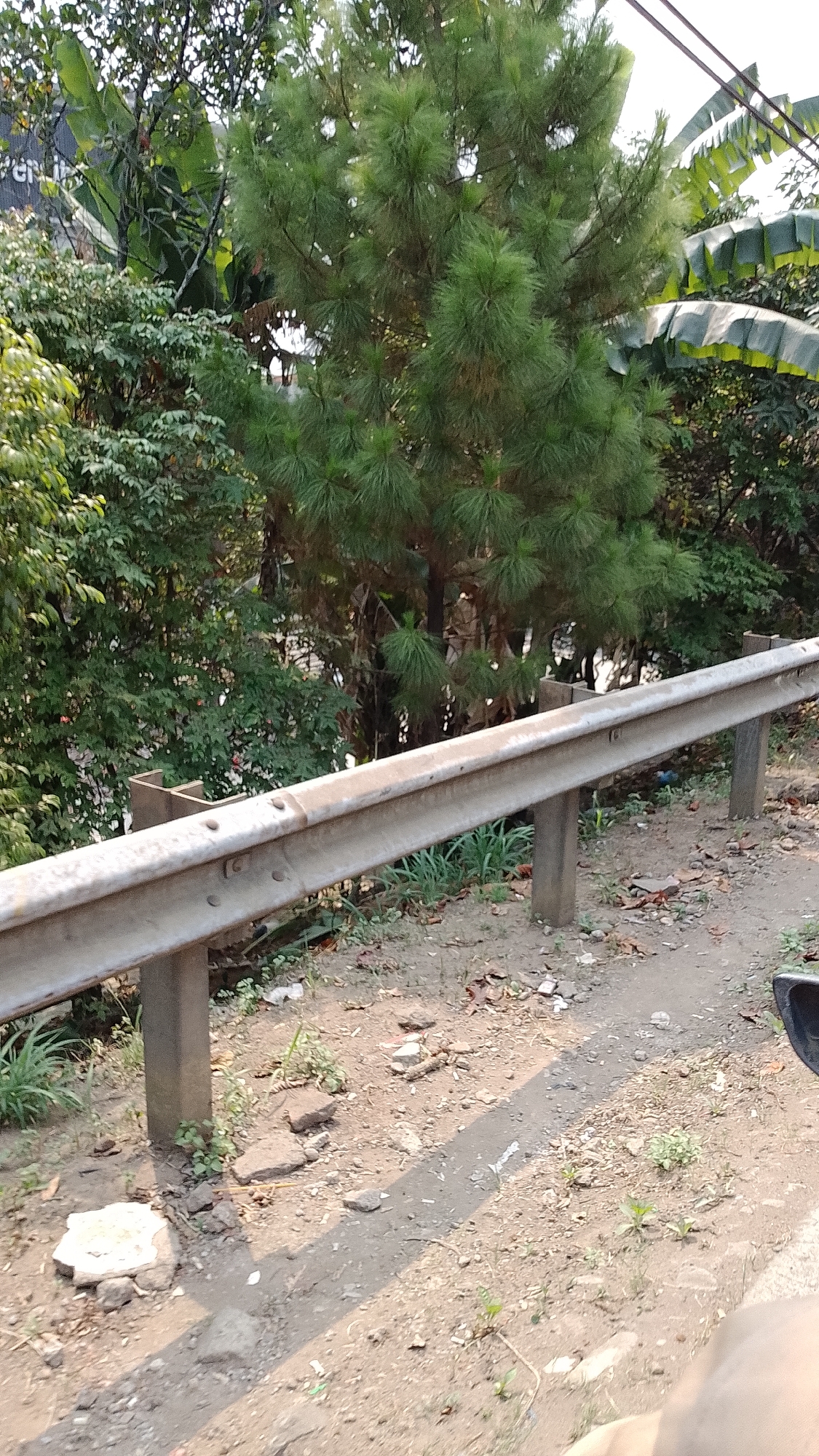The image shows a view of a road embankment in Bandung City, Indonesia. A metal guardrail runs horizontally across the frame, supported by vertical posts. The guardrail appears weathered and slightly rusted in places. Beyond the guardrail, a dense collection of trees and foliage is visible, including a prominent pine tree with needle-like leaves and some larger, broader leaves that could be from banana plants. The ground next to the road is unpaved and covered with dirt, small rocks, and scattered debris, including some leaves and white plastic fragments. The scene suggests an outdoor environment, possibly on the outskirts of the city or in a less developed urban area, with vegetation encroaching on the roadside. The lighting indicates it is daytime, with shadows suggesting the sun is at an angle. There are no people or vehicles clearly depicted in the image, although a dark shape in the lower right corner could be a portion of a vehicle. The overall impression is of a natural setting adjacent to a road.