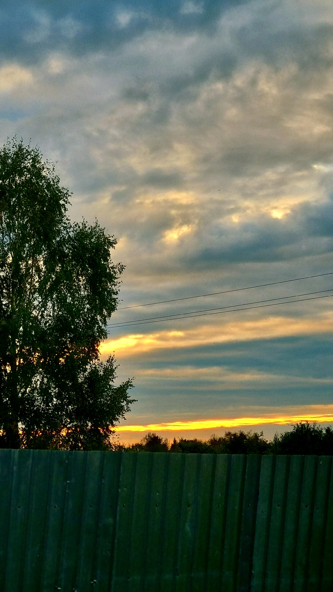 An outdoor, vertical, full shot depicts a dark green corrugated metal fence in the foreground, running horizontally across the bottom of the frame. Behind the fence, a line of trees forms the horizon. Above the trees, a sliver of bright yellow-orange sunset is visible, cut by the dark silhouettes of the trees. The sky above is a mix of blue and grey clouds, with streaks of yellow-orange light illuminating patches of the clouds, suggesting a sunset or sunrise. To the left, the dark green foliage of a large tree partially obscures the sky. Three thin, dark power lines are strung horizontally across the middle of the sky. The image appears to be taken in Vysokoe, Russia, given the context.