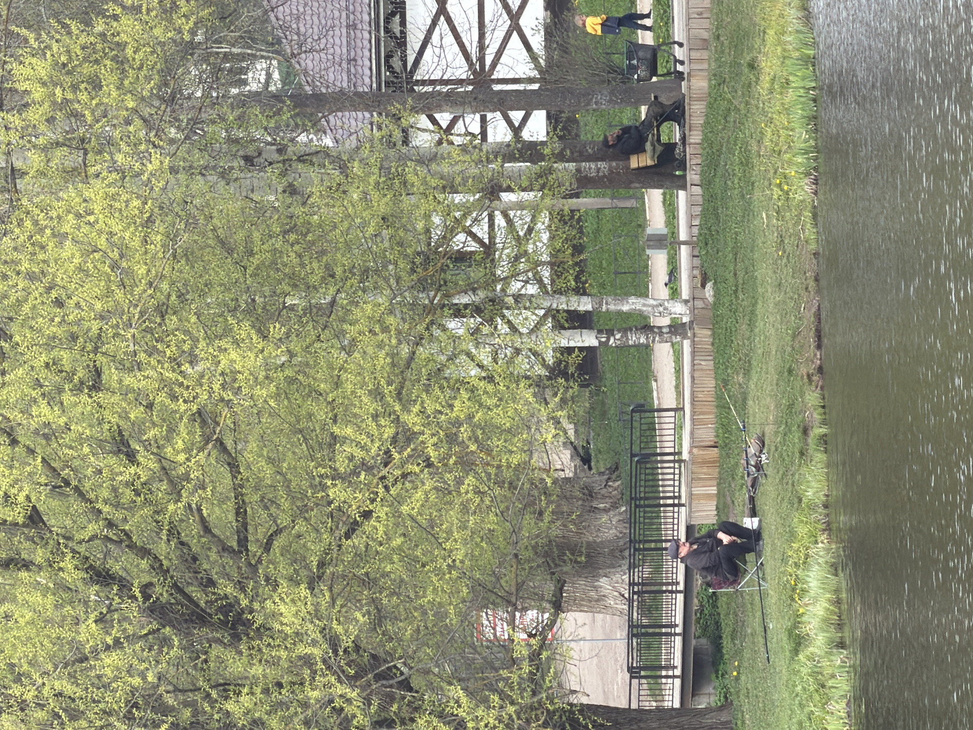 The image depicts a lakeside scene in Pavlovo, Russia. A body of water occupies the right side of the image, with a grassy bank along its edge. A person is sitting in a folding chair with fishing gear near the water, apparently fishing. A metal railing runs along the bank behind the person. In the background are birch trees and a white structure. A person in a yellow shirt is walking near the birch trees. A large tree with green leaves is in the foreground on the left.