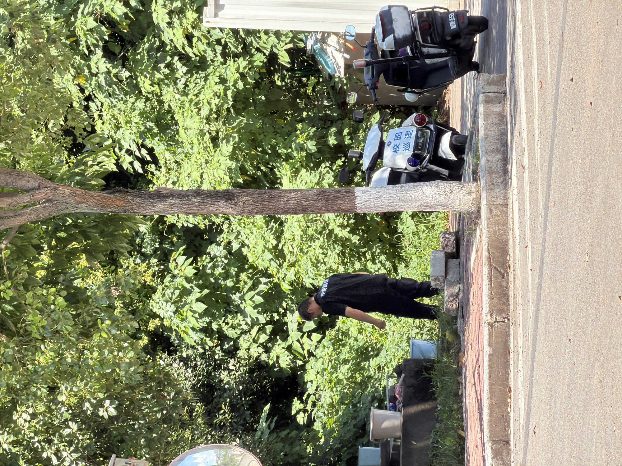 In the city of Jiangjin, China, a man in a black t-shirt with blue lettering that reads "校园巡逻" (Campus Patrol) is standing by a row of white buckets and a grey concrete structure. He is facing away from the camera, and his left hand is extended downwards. Two parked scooters are visible to his right. The scooter closer to the camera is white with the same blue lettering on the front. The scooter further away is black. Behind the man and the scooters is dense green foliage. A tree trunk with white paint marking its lower section stands in the foreground, to the left of the scooters. The ground in front of the man is a paved sidewalk with red bricks, and beyond that is an asphalt road. The scene appears to be outdoors in a well-lit environment, likely during the daytime.
