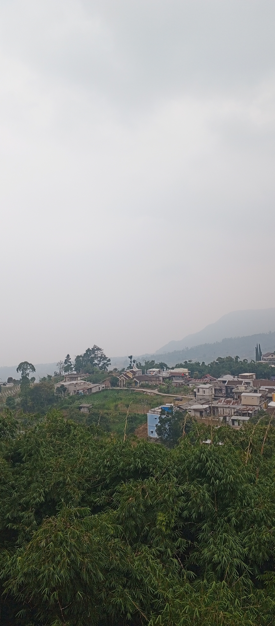 The image shows a village scene in Sarangan, Indonesia, with a cluster of houses nestled on a hillside. Lush green foliage, likely bamboo, dominates the foreground, obscuring the lower portions of the village. The houses, varying in size and architectural style, are interspersed with trees and cultivated land. A hazy, overcast sky covers the scene, softening the light and creating a muted atmosphere. In the background, rolling hills fade into the distance, suggesting a mountainous or hilly terrain characteristic of the region. There are no people visible in the frame. The overall impression is one of a rural, tranquil settlement surrounded by natural beauty.