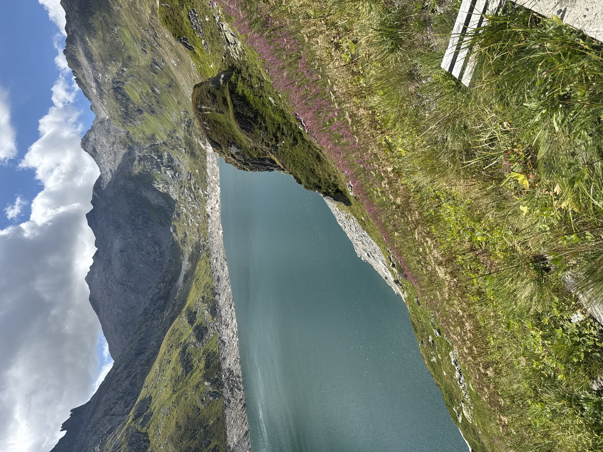 This image captures a panoramic view of a large, tranquil lake nestled within a dramatic mountain landscape. The lake's surface is a deep, serene teal color, reflecting the overcast sky. Steep, rugged mountains rise on either side of the lake, their rocky slopes interspersed with patches of vibrant green grass and scree. Some of these slopes are quite steep, leading up to jagged peaks that pierce the sky.
In the foreground, a grassy hillside slopes down towards the lake. This area is dotted with numerous small, delicate purple wildflowers, adding a splash of color to the scene. The grass itself is a mix of lush green and drier, straw-colored stalks, suggesting late summer or early autumn. Partially visible in the bottom right corner of the frame is a simple wooden bench, appearing weathered and providing a potential resting spot to admire the view. The bench is constructed from rough-hewn wooden planks and sits on a concrete base.
The overall impression is one of natural beauty and remoteness. The area is likely a high-altitude location, possibly a reservoir or natural lake within a mountainous region. While the prompt mentions Airolo, Switzerland, no specific landmarks or signs are visible in the image to definitively confirm this location. However, the rugged mountain terrain and the presence of a lake are consistent with the geography of the Swiss Alps. There are no people visible in the image, and the scene appears still and peaceful. The sky is partly cloudy, with patches of blue sky visible through dramatic, textured clouds.
