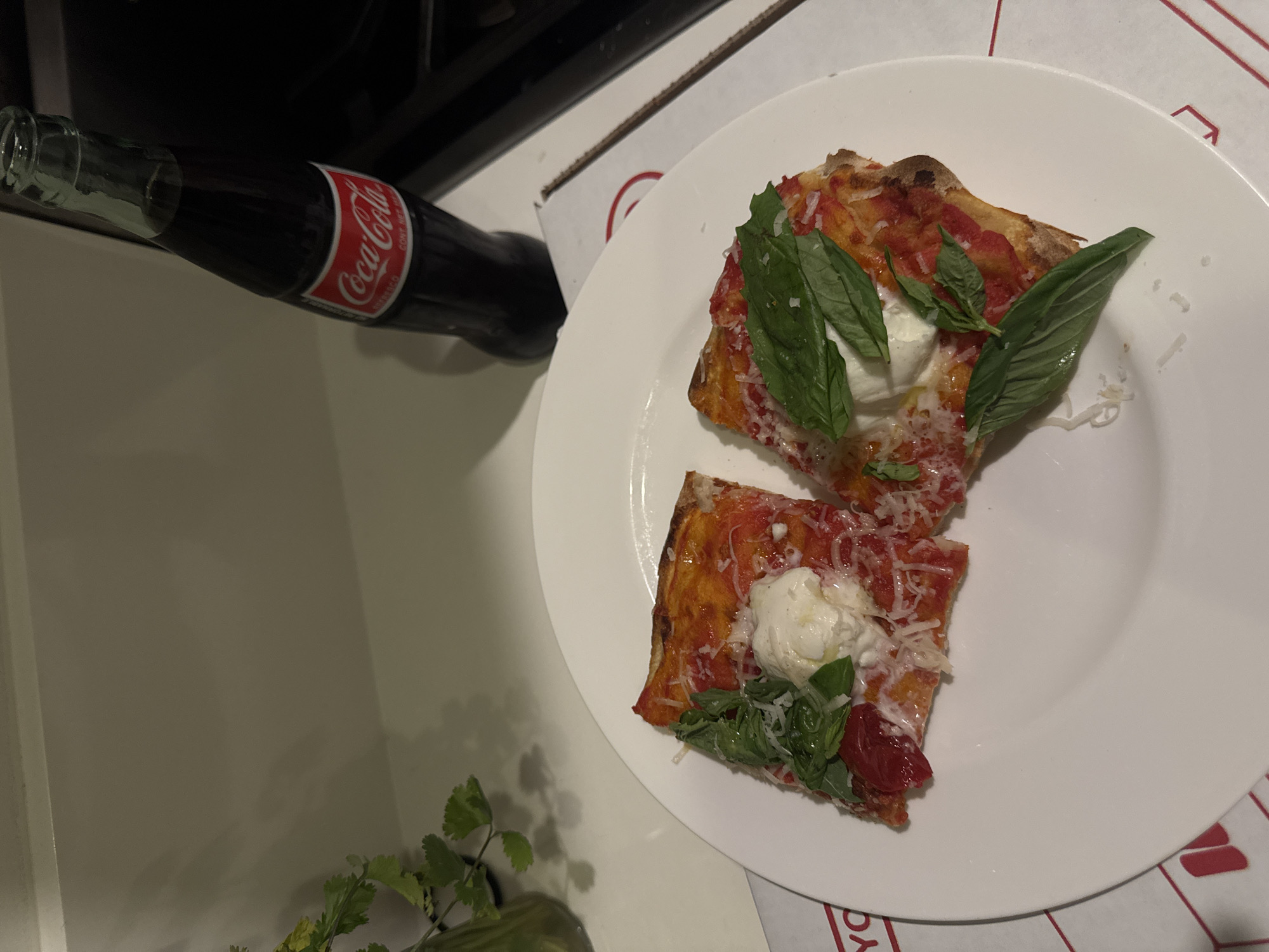 An indoor, high-angle photograph captures a meal on a light-colored countertop surface, likely in a kitchen or dining area. The location is an indoor setting in New York City, United States of America, as evidenced by the partially visible branding on a pizza box identifiable as Rubirosa Pizza.
In the foreground, a white, oval-shaped plate displays two rectangular slices of pizza. Each slice features a baked crust, a red tomato sauce base, melted white cheese, a prominent dollop of fresh white cheese (likely burrata or fresh mozzarella), and is garnished with several large, fresh green basil leaves and grated white cheese. The left slice additionally includes several small, dark red components, possibly cherry tomatoes or roasted red peppers.
To the right of the plate, a dark green glass bottle of Coca-Cola, with its characteristic red and white logo, stands upright and contains a dark liquid. Beneath and partially to the right of the plate, a white pizza box is visible, featuring red graphic elements and partial text including "YO" and a stylized "M" logo, consistent with Rubirosa Pizza branding.
In the upper left corner of the frame, a small green plant with distinctively shaped leaves is partially visible within a clear glass container. The background consists of a light-colored wall or upper cabinet, with a darker, possibly black appliance or stovetop visible in the upper right section of the image. No individuals are present in the scene.