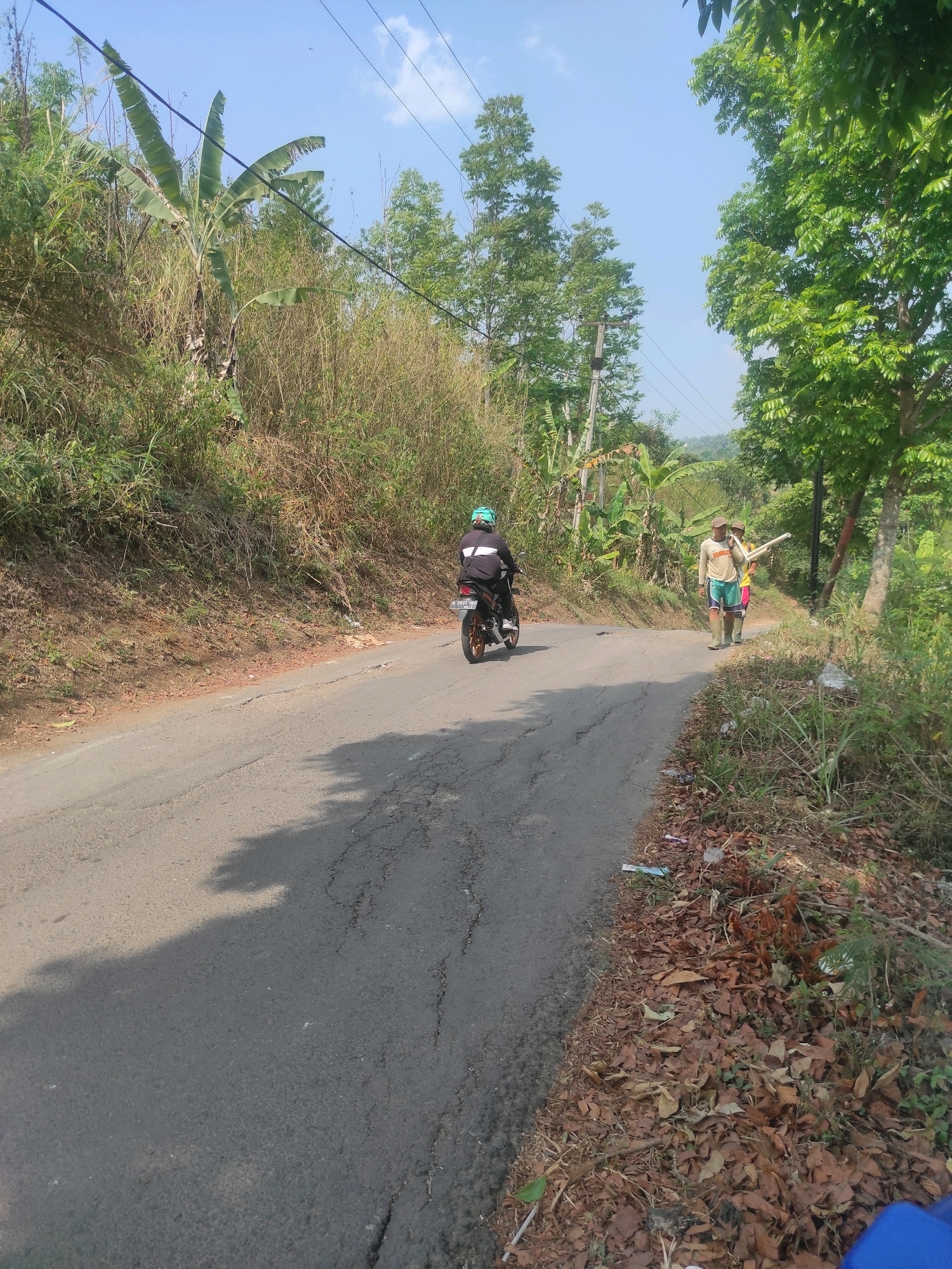 A paved road in Ngamprah, Indonesia, is surrounded by lush vegetation under a clear blue sky. The road surface is cracked and appears to be a bit weathered. On the left side of the road, a steep, grassy embankment rises, dotted with dry grasses and some larger plants. On the right side of the road, there are several tall trees with green foliage, and a dirt path runs alongside the road, covered in fallen leaves and some scattered debris, including plastic bottles.
In the mid-ground, a person is riding a black motorcycle, wearing a green helmet and a dark jacket. Further up the road on the right side, two men are walking. The man in front is wearing a light-colored long-sleeved shirt, green shorts, and light-colored boots, carrying a white pipe. The man behind him is wearing a yellow shirt and shorts, also appearing to be walking. Overhead, power lines run across the scene. In the background, hills covered in vegetation are visible. The overall impression is a rural or semi-rural road scene in Indonesia on a sunny day.