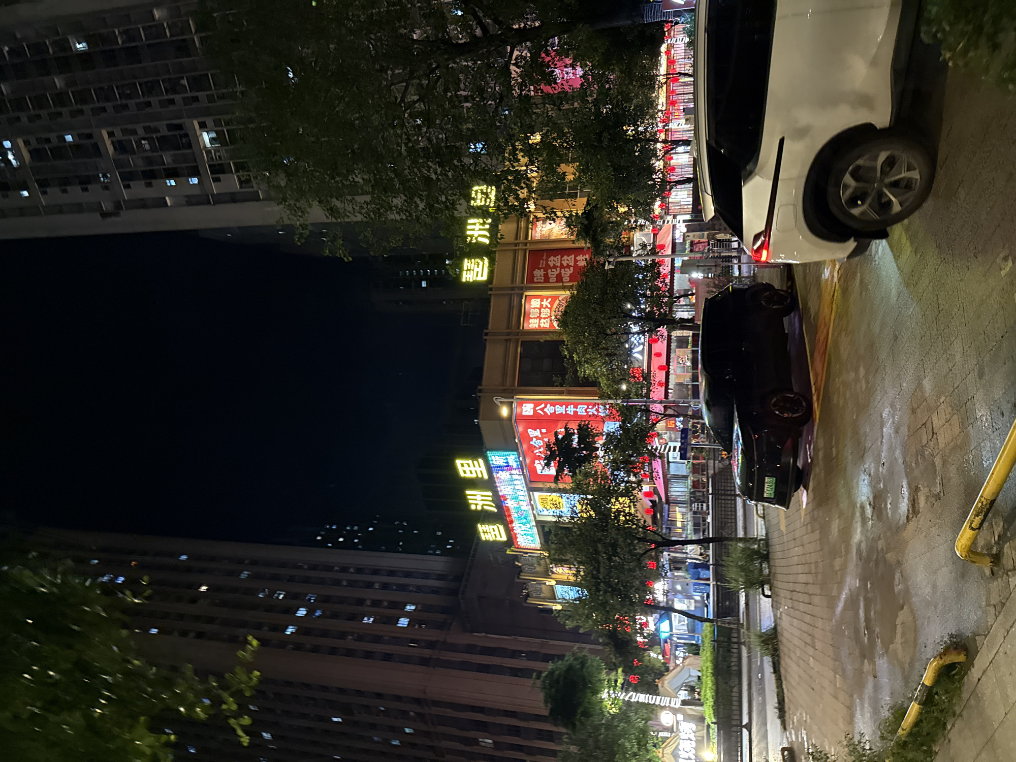 This image captures a nighttime street scene in Haizhu District, China, illuminated by the vibrant neon signs of commercial establishments. Two tall, modern apartment buildings flank a bustling commercial building at street level. The commercial building features prominent yellow Chinese characters that translate to "Li Zhou" (里州), suggesting it might be a commercial center or a group of shops. Below these characters, numerous smaller signs with colorful graphics and Chinese text advertise various products or services, with some signs indicating food establishments, such as "Hot Pot" (火锅) and "Fresh Seafood" (海鲜). Red lanterns are strung along the front of the buildings, adding to the festive nighttime atmosphere.
In the foreground, the wet asphalt street reflects the colorful lights, indicating recent rain. Two vehicles are visible: a black SUV parked on the right side of the street and a white SUV partially visible on the far right, with its rear end facing the camera. The black SUV has its license plate illuminated, showing characters that are partially obscured by glare. Yellow and black striped metal bollards are present along the edge of the sidewalk. Trees with lush green foliage are scattered throughout the scene, with some branches reaching into the frame, partially obscuring the upper portions of the buildings. The sky is dark, signifying nighttime. No people are clearly visible in the frame.