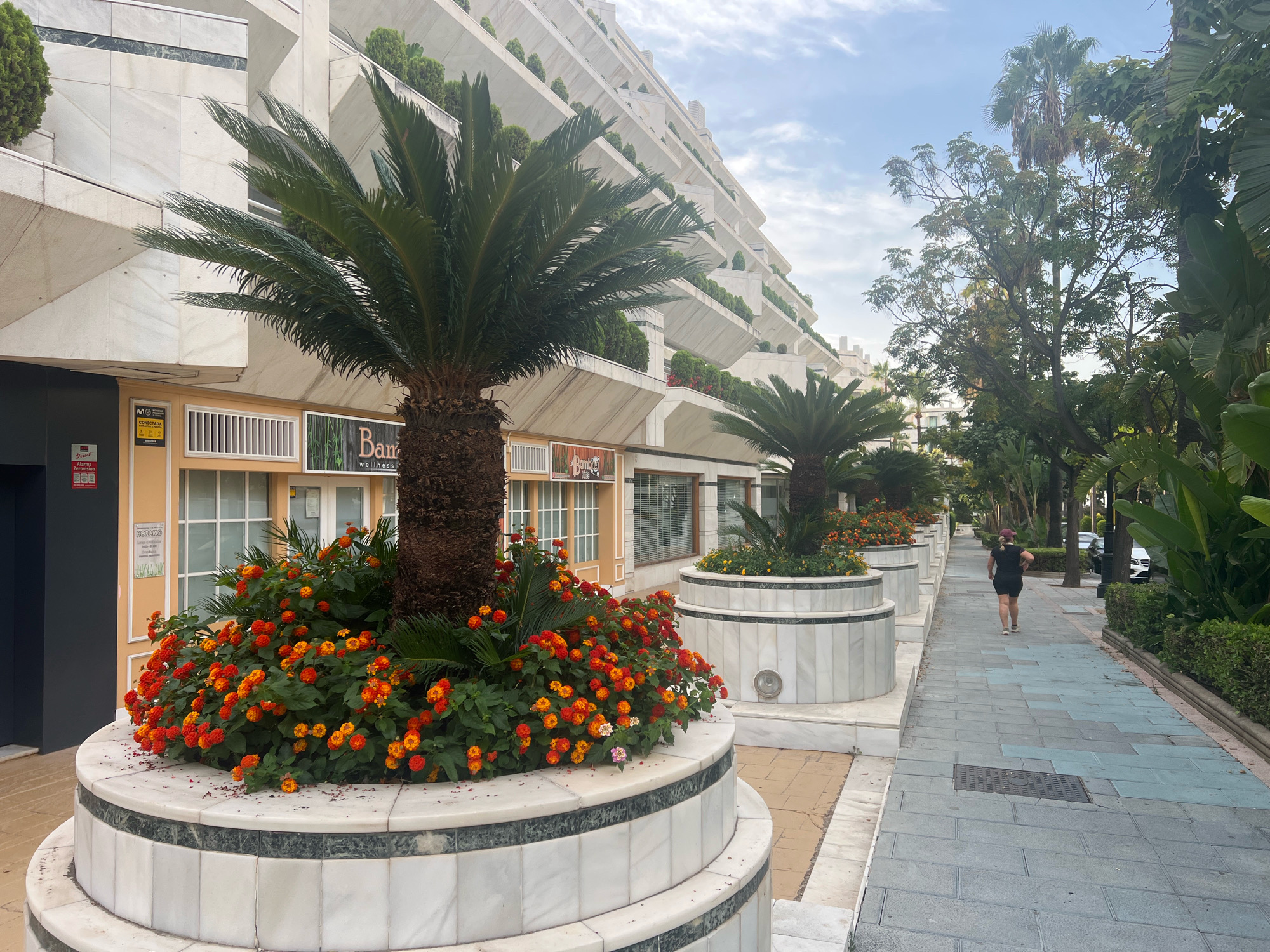 The image captures a street scene in Marbella, Spain, characterized by modern architecture and lush landscaping. In the foreground, a circular planter is overflowing with vibrant orange and red flowers, surrounding the base of a sago palm tree. The planter itself is constructed from white marble with a dark green marble accent band. To the left, a dark grey elevator door is visible, next to a light yellow building with windows. A sign on the yellow building reads "HORARIO".
Dominating the background is a multi-story, tiered building with a unique architectural design, featuring staggered balconies adorned with small green trees. The building's facade is predominantly white with angular lines. A sidewalk runs alongside the planter and building, paved with grey and blueish-grey tiles. A woman wearing a black t-shirt and shorts, with a maroon cap, is seen jogging away from the camera on the sidewalk. Further down the sidewalk, parked cars are visible, including a white Mercedes. The street is lined with trees and dense green foliage, typical of a Mediterranean climate. The sky is partly cloudy.