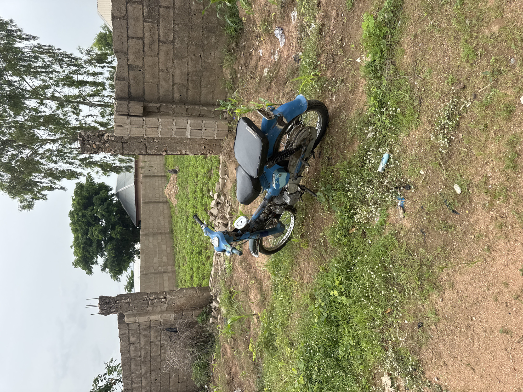 In Jauro Yinu, Nigeria, an overcast sky hangs over a scene of apparent construction and neglect. A blue motorcycle, showing signs of wear, sits parked on patchy ground covered in sparse green grass, small white wildflowers, and dry brown soil. The motorcycle is positioned to the right of the frame, facing left. In the background, unfinished brick walls form an enclosure, with a large, intact brick wall to the right and a partially constructed wall to the left. Two crumbling concrete pillars, each with exposed rebar protruding from the top, stand as remnants of further construction. Beyond the walls, a lush green field of crops, possibly corn, extends into the distance, with scattered trees providing a natural backdrop. A few small piles of rubble are visible within the walled area. The overall impression is one of a rural or semi-rural setting where construction has begun but has been halted, leaving the motorcycle as the primary subject in an otherwise undeveloped or neglected space.