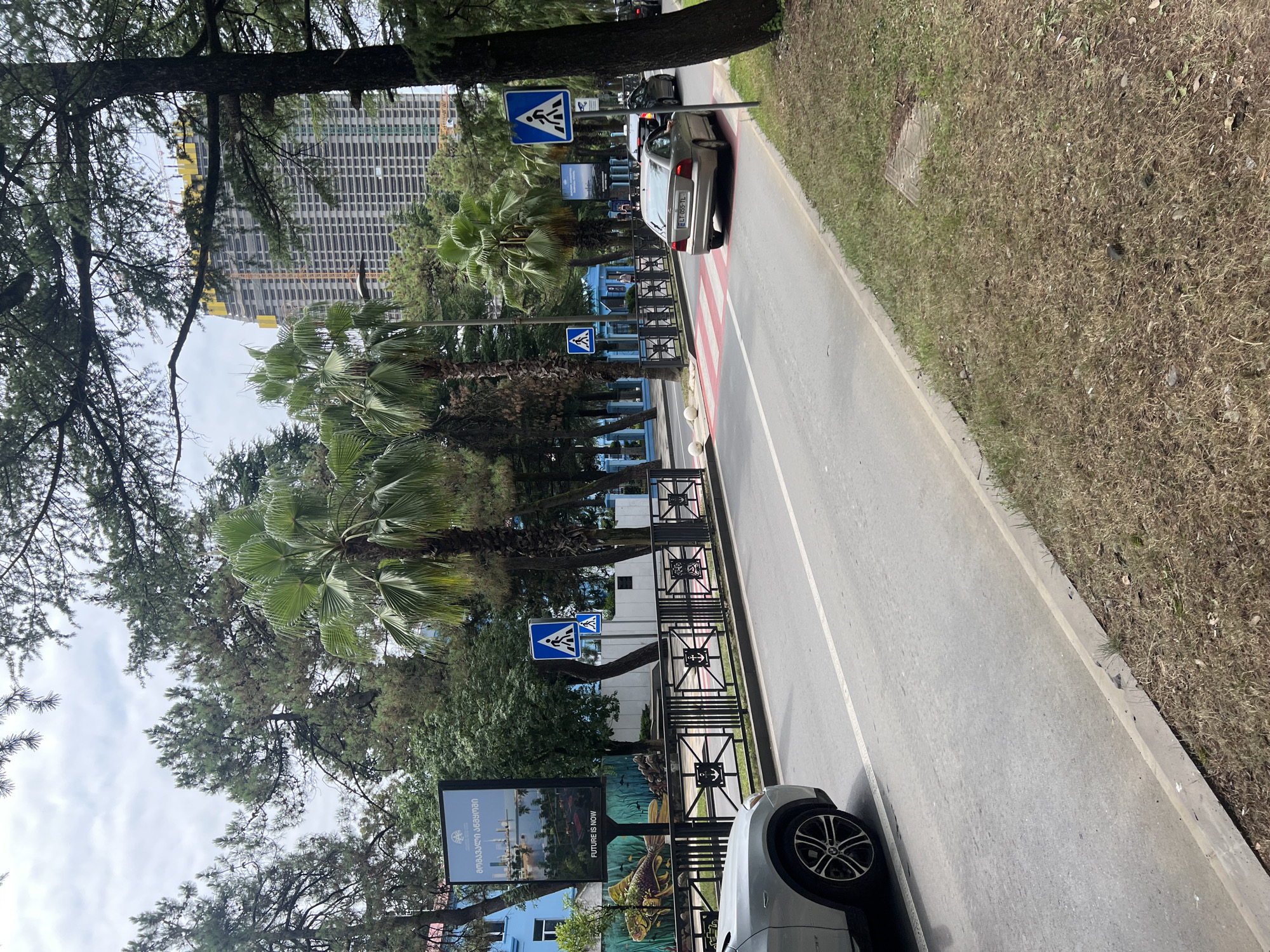 The image shows a street scene in Batumi, Georgia, with a focus on a pedestrian crossing. On the right side of the road, a silver sedan is stopped at a crosswalk marked with red and white stripes. Adjacent to the crosswalk, a pedestrian crossing sign is visible. Several palm trees and other foliage line the street. In the background, a tall, unfinished building under construction is prominent, indicating urban development. The sky is overcast. The overall impression is a typical city street with traffic and ongoing construction.