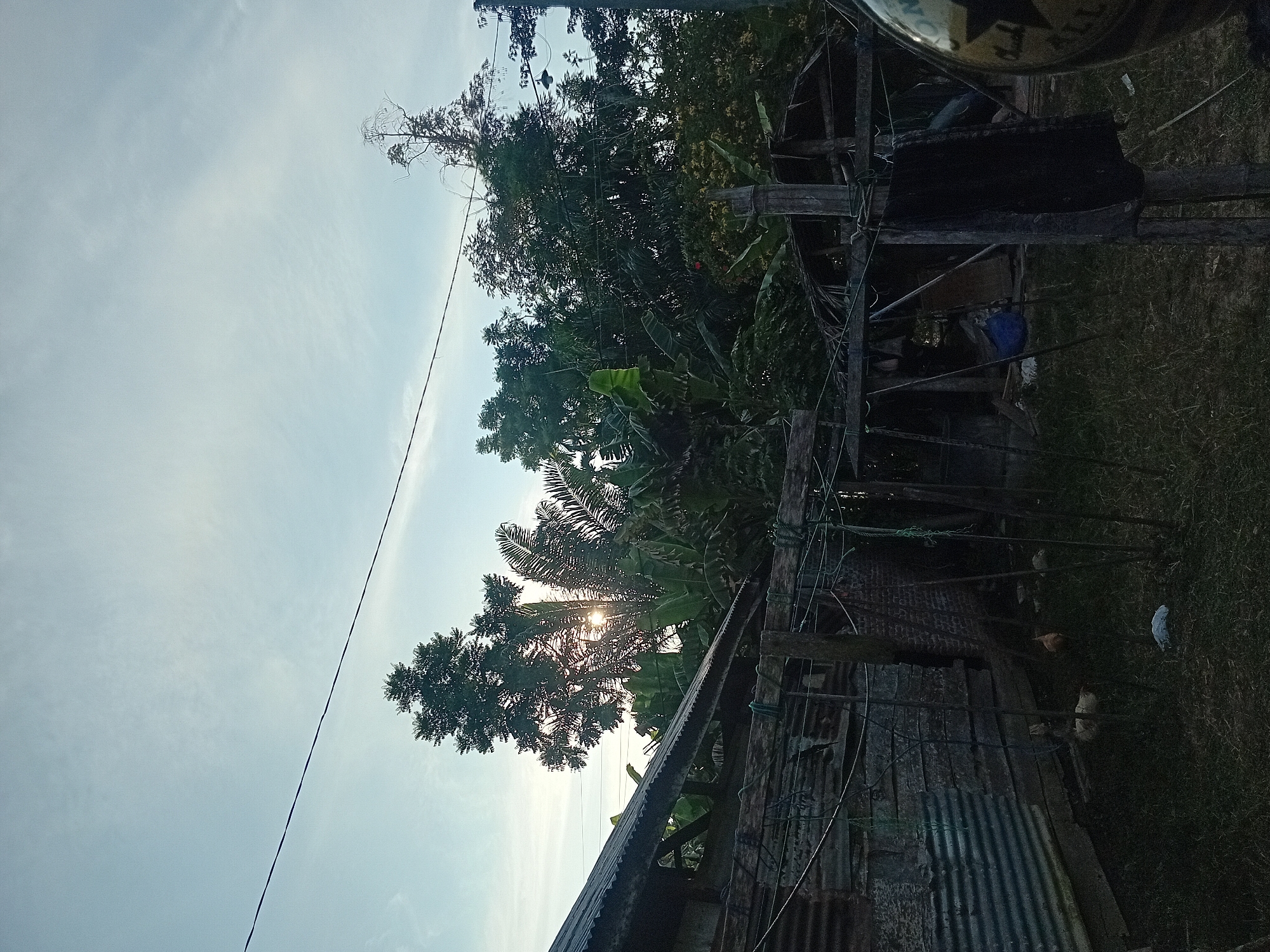 The image depicts an outdoor scene, likely in Lhokseumawe, Indonesia, during the late afternoon or early morning given the low angle of the sun which is partially visible through the trees. In the foreground, a corrugated metal structure, possibly a shed or part of a house, is visible on the left, with a wooden frame and some hanging items in the middle ground. Several chickens are present on the grassy ground. The background is dominated by lush green trees, including what appear to be banana trees and a tall conifer. A thin wire stretches across the sky. The overall impression is a rural or semi-rural residential setting.