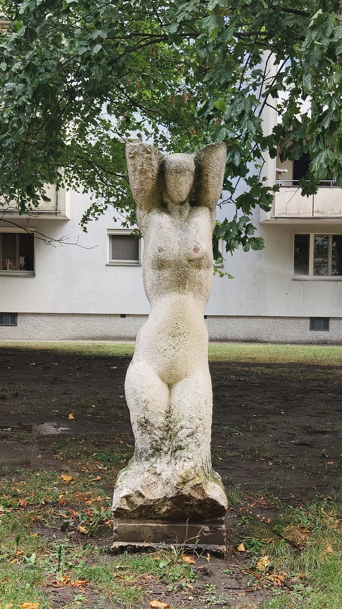 A full-body, frontal view of a rough, light-colored stone sculpture of a female torso is presented outdoors. The sculpture depicts a nude woman with her arms raised, hands resting on top of her head. The sculpture has a textured surface, with some green moss and lichen visible on its lower portion. It stands on a rectangular concrete base, which is itself placed on the ground.
The sculpture is situated in an urban outdoor setting, likely a park or residential area. Behind the sculpture, a building with a white facade and multiple windows is visible. The windows are rectangular, and some have dark frames. A balcony extends from the upper part of the building on the right side. The building appears to be multi-story.
Above and behind the sculpture, a dense canopy of green leaves from a tree partially obscures the building. The leaves are wet, suggesting recent rain. The ground in front of the sculpture is covered with dark soil, scattered leaves, and some patches of grass. The overall impression is of a somewhat overcast or damp day.
This sculpture is located in the Karl-Marx-Hof apartment complex in Vienna, Austria. Specifically, it is in the open space in front of one of the residential buildings within the complex.