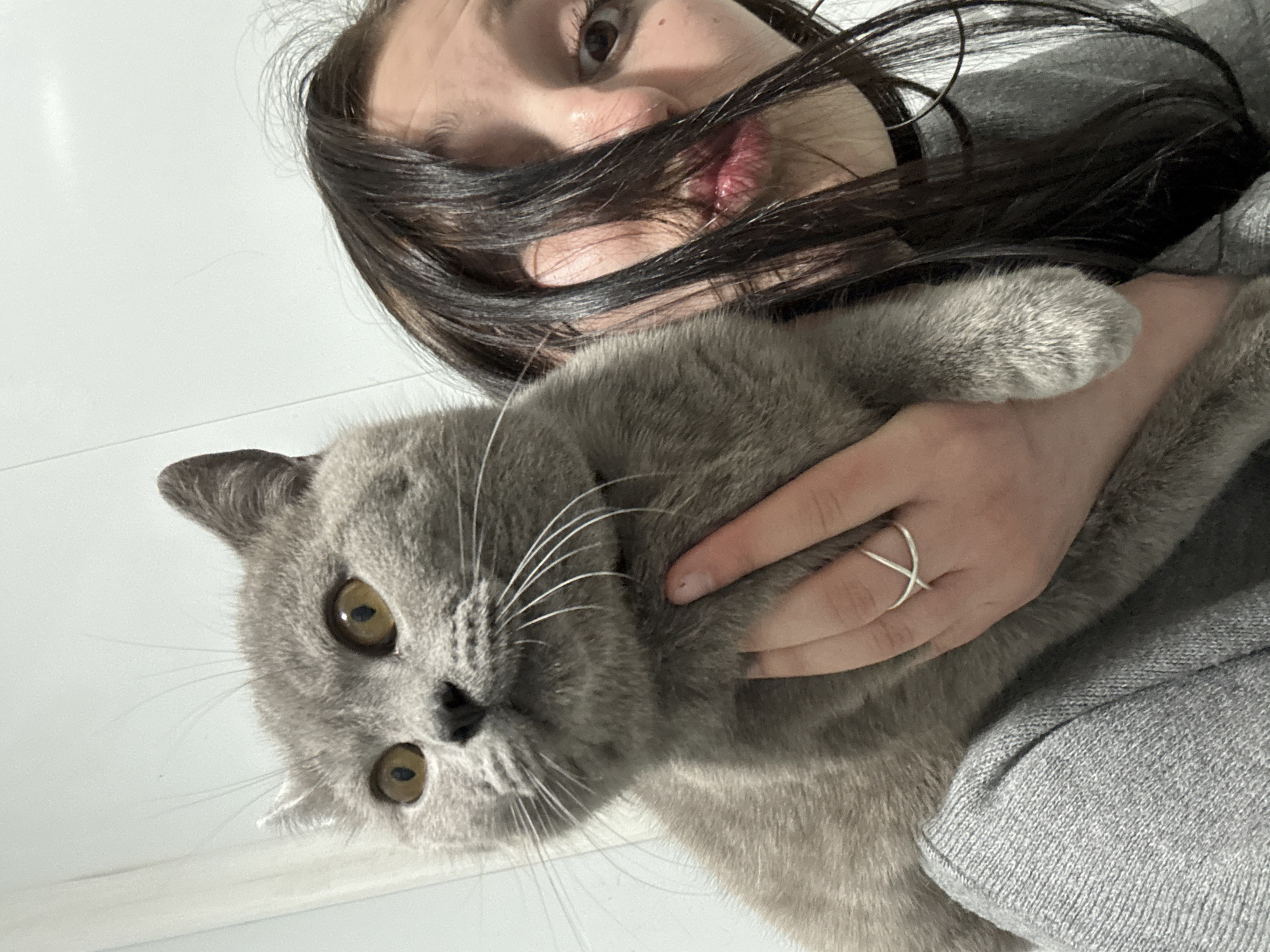 An angled, close-up photograph captures a person holding a gray cat indoors. The perspective is from below, looking up at the subjects. A young woman's face is partially visible in the upper right, with dark hair cascading across her face, obscuring parts of her nose and mouth. Her visible eye is dark and looks towards the camera. Her hand, adorned with a simple silver-colored criss-cross ring, gently holds the cat. She is wearing a gray knitted sweater.
The main subject is a plump, gray-furred cat, likely a British Shorthair or similar breed, held comfortably by the woman. The cat has prominent white whiskers and large, round amber-colored eyes that are looking towards the camera. Its ears are slightly perked. The background is a plain, light-colored (appears white or off-white) wall or ceiling, indicating an indoor setting. No text is visible in the image. The photo conveys a calm and affectionate interaction between the person and the pet, set in Фоки, Russia.