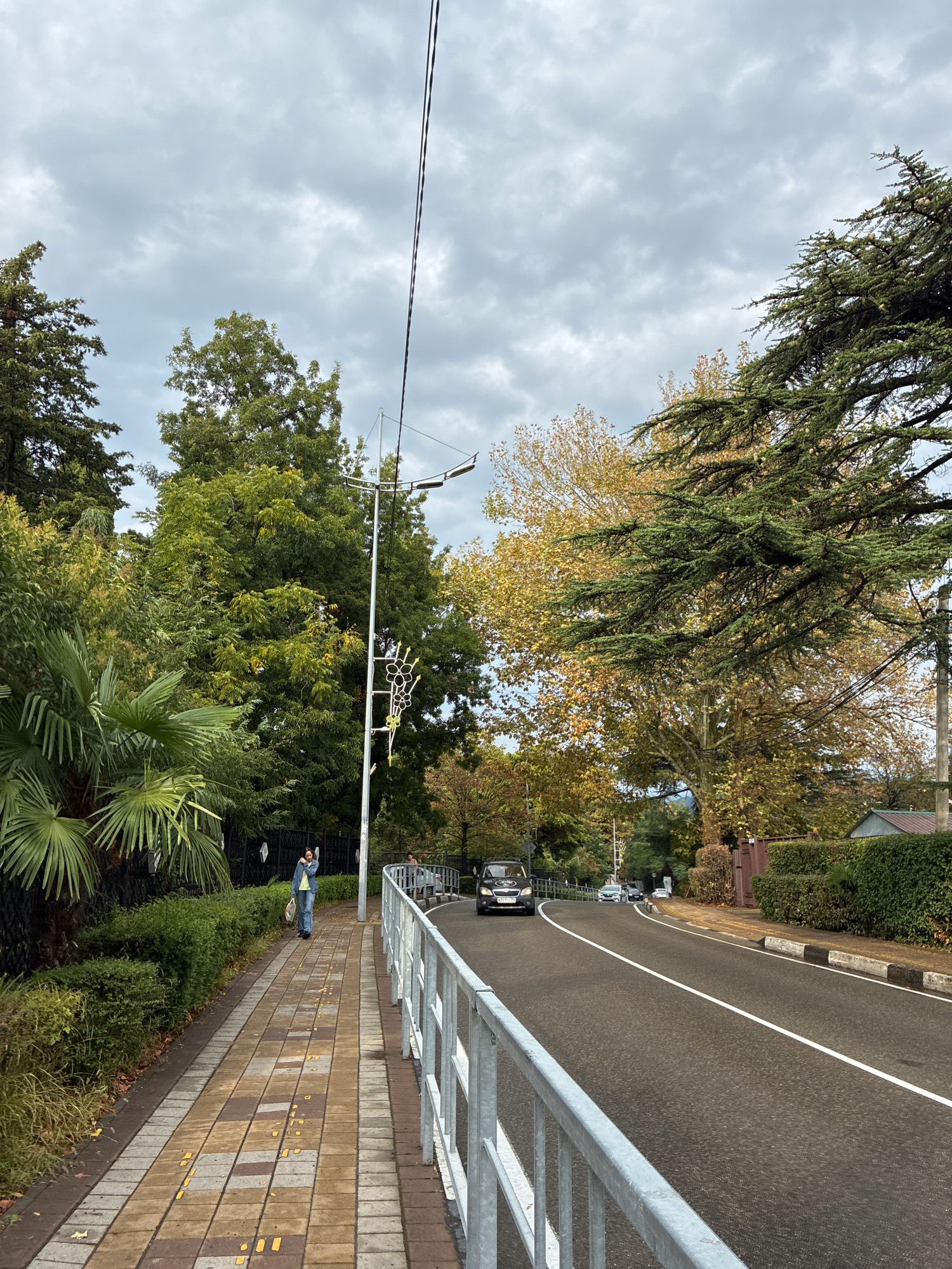 The image depicts a cloudy day in Sochi, Russia, likely during autumn given the foliage. A paved road with a white dividing line curves to the right. A sidewalk runs parallel to the road, separated by a light-colored metal railing. On the sidewalk, a person in a blue jacket and jeans is walking away from the camera, carrying a bag. They are surrounded by lush greenery, including palm trees and various deciduous trees displaying yellow and green leaves. A street lamp stands near the sidewalk, adorned with a decorative element. Several cars are visible on the road, one black car in the foreground and other vehicles further down. The background features dense vegetation and some buildings. The overall impression is one of a quiet, tree-lined street in a city park or residential area.
