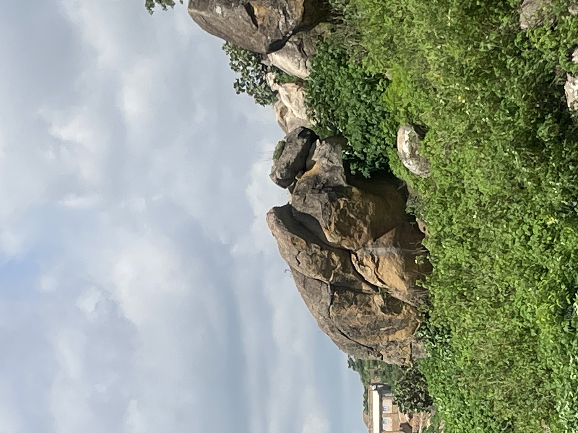 A rocky hillside is covered with lush green vegetation under a cloudy sky. The large rocks are weathered and have fissures running through them. In the background, a building with light-colored walls and a darker roof is visible, partially obscured by trees. The scene appears to be outdoors in a natural setting.