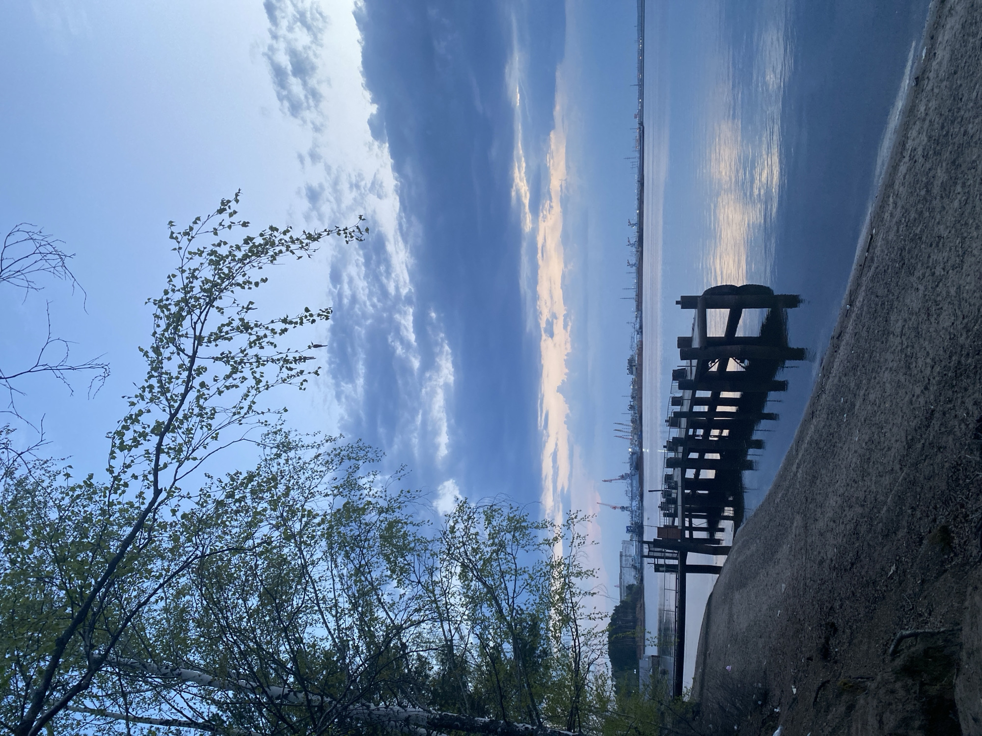 The image depicts a view of the Kama River in Chaikovsky, Russia. A wooden pier extends into the water from a concrete embankment. In the background, a cityscape with industrial cranes and buildings lines the horizon. The sky is a mix of blue and clouds, with reflections visible on the water's surface. In the foreground, a tree with budding leaves frames the scene.