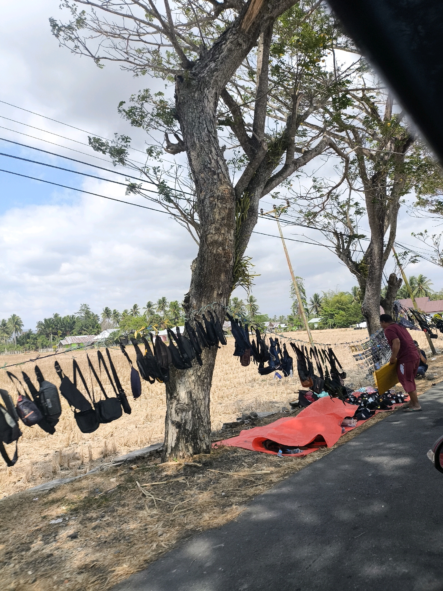 In Sido Mulyo, Indonesia, a vendor is seen selling bags along a roadside. The vendor, wearing a maroon shirt and pants, is attending to a display of various bags spread out on a bright orange tarp. More bags, predominantly black, are hung on a wire strung between two trees. In the background, a dry, field-like area with scattered houses and lush palm trees under a partly cloudy sky suggests a rural or semi-rural setting. The scene captures a moment of commerce amidst the natural landscape.