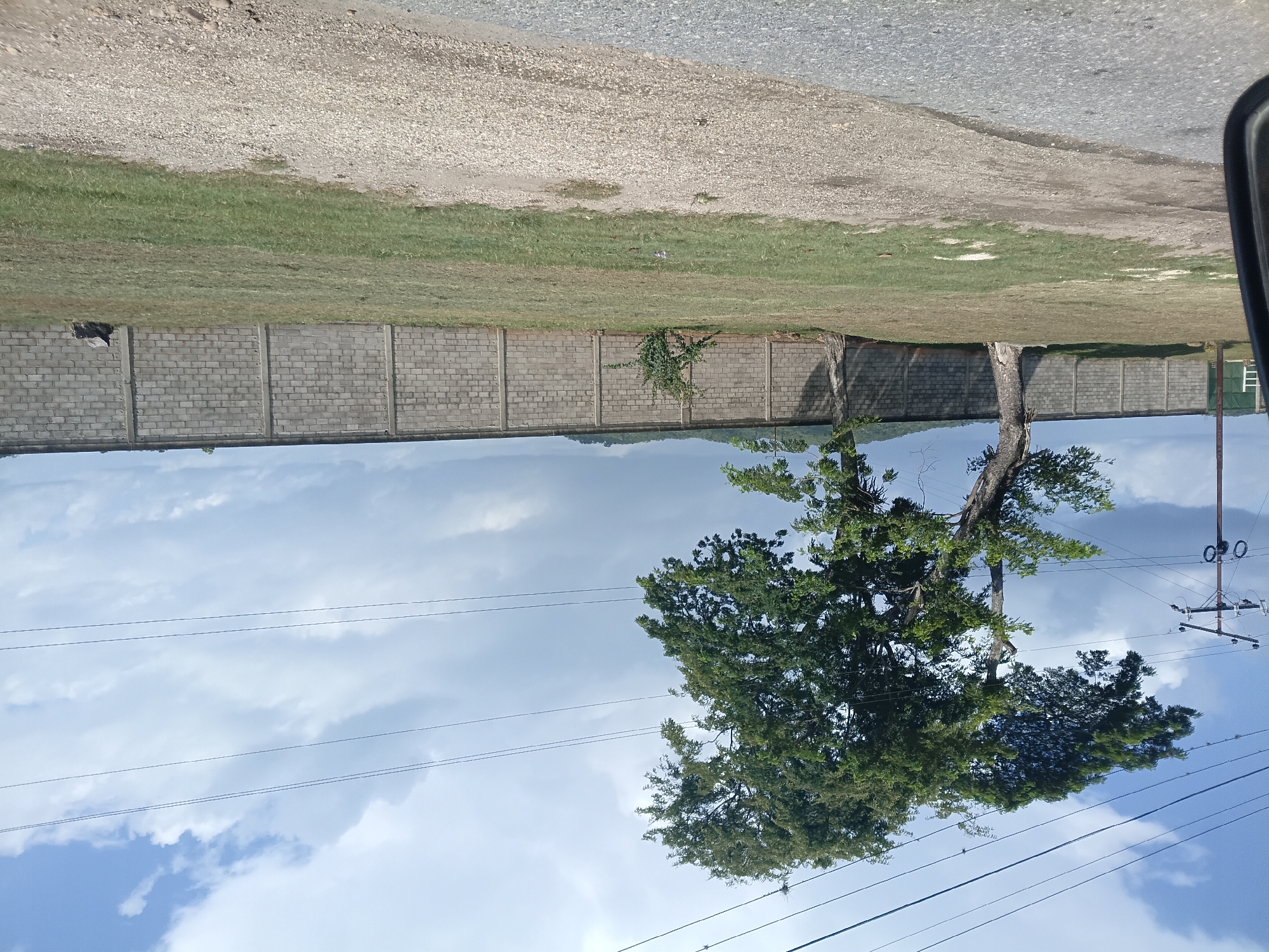 In Taguanes, Venezuela, a wide, paved road runs horizontally across the foreground of the image. To the left, a portion of a vehicle's side mirror and frame is visible. Beyond the road, a grassy area leads to a substantial grey brick wall that stretches across the middle ground, supported by concrete pillars. Two large trees with lush green canopies stand to the left of the wall, with the larger tree's trunk split. In the distance, a gentle slope of green hills can be seen beneath a cloudy sky. Overhead, several power lines are strung across the frame.