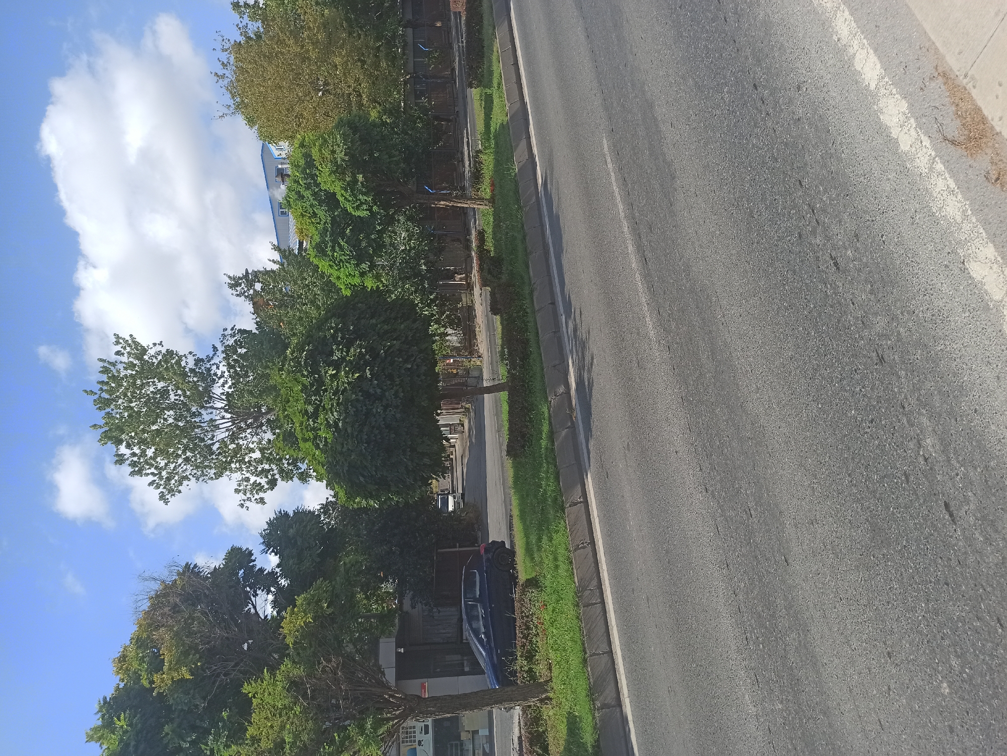 This is a street-level, eye-level, wide shot of a road in Ümraniye, Turkey. The road is asphalt with a white dashed line marking the lane. On the left side of the road, there is a sidewalk and a grassy median with several trees. A dark blue hatchback car is parked on the side of the road. Further down the road, more trees and some buildings are visible, including a building with a blue roof. The sky is blue with scattered white clouds. The trees are green and leafy, suggesting it is a warm season.
