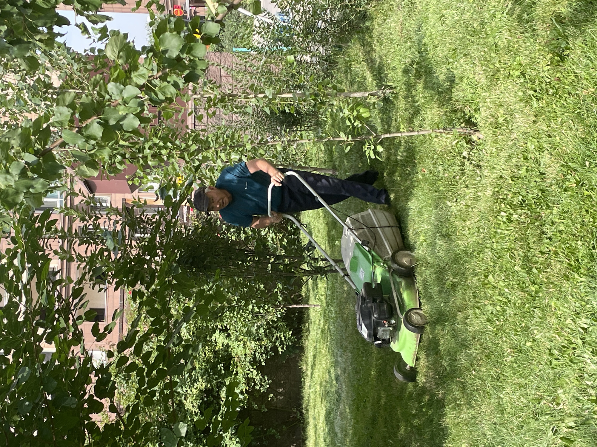 An elderly East Asian male, wearing a dark teal t-shirt, dark pants, and a dark baseball cap, operates a light green push lawnmower on a grassy lawn. He is pushing the mower away from the camera towards a building in the background. The lawn is well-maintained with some patches of dry grass. Behind the lawn and to the left, there are dense green trees and shrubs. In the background, a multi-story brick building with arched windows is visible. The scene appears to be in an urban residential area of Almaty, Kazakhstan, likely a courtyard or a public park. The lighting suggests it is daytime, with sunlight casting shadows.