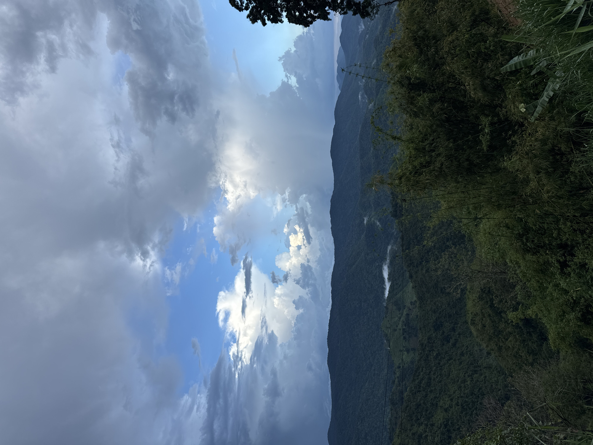 A wide-angle shot captures a mountainous landscape in Nao Sẻ, Vietnam, under a dramatic sky filled with a mix of dark, heavy clouds and patches of bright blue. Lush, dark green vegetation covers rolling hills that recede into the distance, with layers of mountains visible under the diffused light. Wisps of mist or low-lying clouds are present in the valleys between the hills. In the foreground, dense foliage, including bamboo and tall grasses, obscures the immediate lower portion of the frame. A solitary, tall tree stands on the right edge, its dark silhouette contrasting with the lighter sky. The overall scene conveys a sense of rugged natural beauty and atmospheric conditions suggestive of approaching or recent rain.