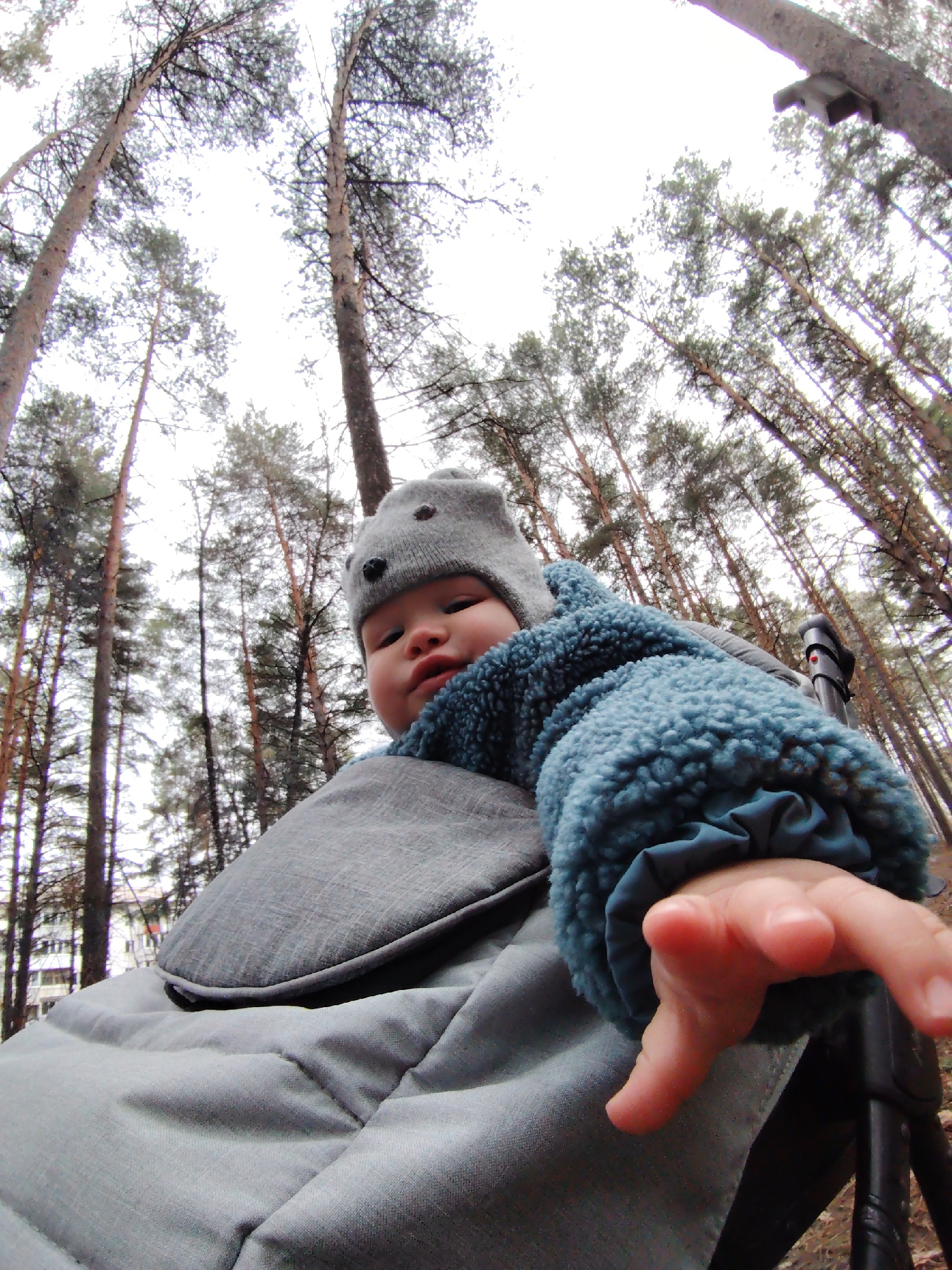 This low-angle, wide-angle photograph captures a baby in a stroller or carrier amidst a pine forest in Chaikovsky, Russia. The baby, situated in the lower-middle of the frame, wears a grey hat with dark animal ear details and a warm, fluffy blue winter jacket. Its face is partially visible, looking up towards the camera with a neutral to slightly curious expression. A small, open hand is extended forward on the right side, as if reaching out.
The baby is nestled in a grey fabric stroller or carrier, which occupies the lower foreground, with a black frame component visible on the far right. The background is filled with numerous tall, slender pine trees, whose trunks stretch upwards towards an overcast, bright sky. The wide-angle lens creates a dramatic perspective, making the trees appear to converge above. The sky is a uniform light grey, indicating an overcast daytime. In the distant left, faintly visible through the trees, is a multi-story residential building, suggesting the forest borders a populated area. A birdhouse can be spotted high on one of the tree trunks. The warm clothing of the baby indicates cool weather. No text is visible in the image.