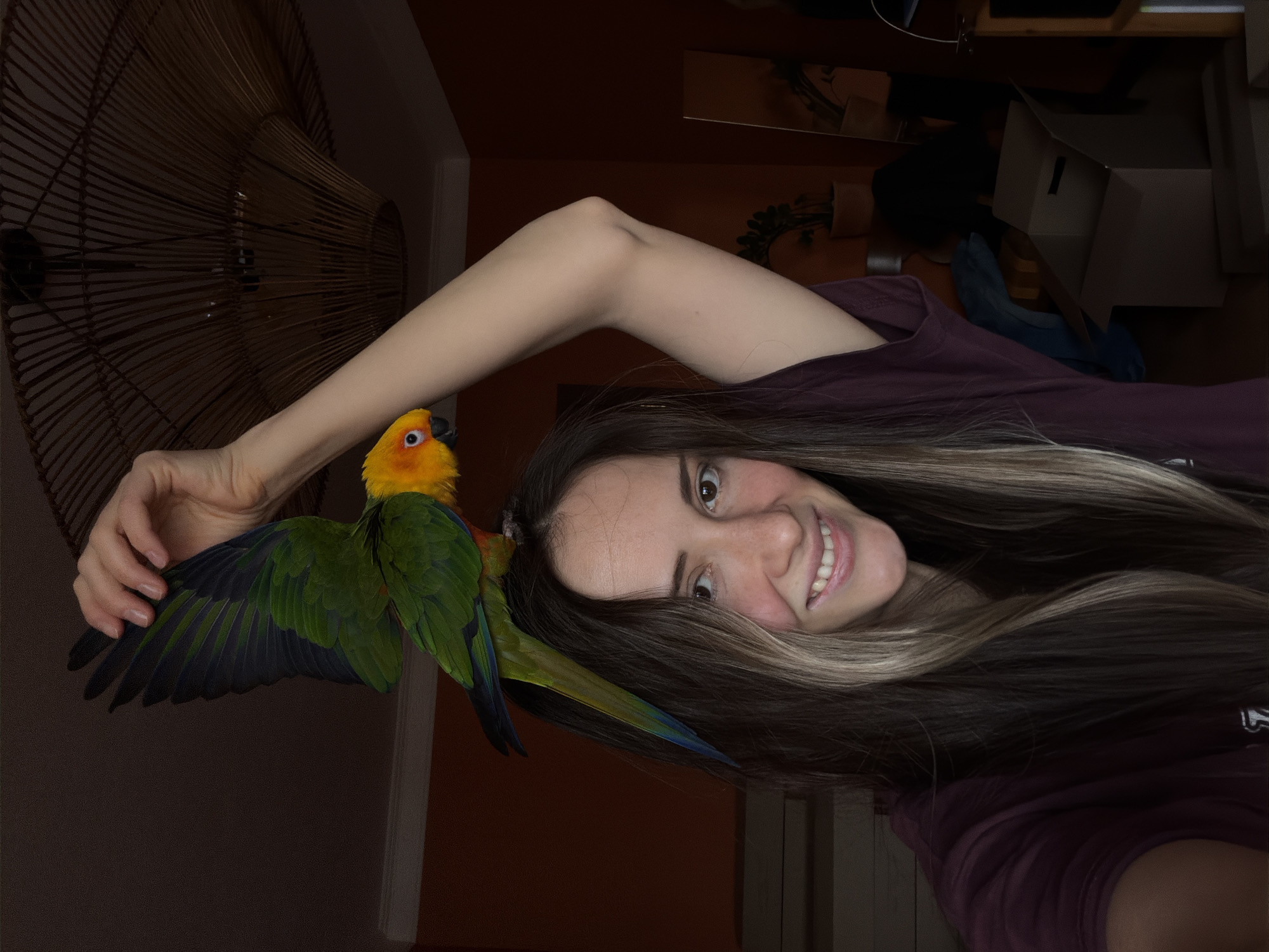 A young woman with long, light-streaked dark hair smiles at the camera while a brightly colored sun conure parrot perches on her head and extends one wing. Her left hand gently rests on the parrot's back. She wears a maroon t-shirt. Behind her is a woven wicker lamp fixture, an orange wall, and in the background, various objects including a cardboard box, potted plants, and what appears to be a pair of shoes. There is no identifiable information indicating this image was taken in Khimki, Russia.