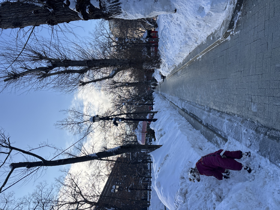 The image captures a winter scene within the Chinese Garden section of Gorky Park, Moscow, Russia. A wide, grey paver pathway, cleared of snow, extends from the foreground into the background under a clear blue sky with sparse white clouds.
In the immediate foreground, a Dalmatian dog, equipped with a magenta full-body winter suit and black paw booties, is partially embedded in a high snowdrift bordering the left side of the pathway. The dog's head is turned slightly left, and its tail is visible. The pathway is flanked on both sides by significant accumulations of white snow, forming high banks.
Numerous bare deciduous trees line the path, their trunks and branches partially covered with snow, particularly prominent on the right. Several black, multi-armed lampposts are spaced along the pathway. In the midground, a light-colored building with dark windows is partially visible through the trees on the left. Further down the path, multiple traditional red-roofed pavilions or gazebos are discernible on both sides. Two indistinct human figures are visible walking on the pathway in the distance.