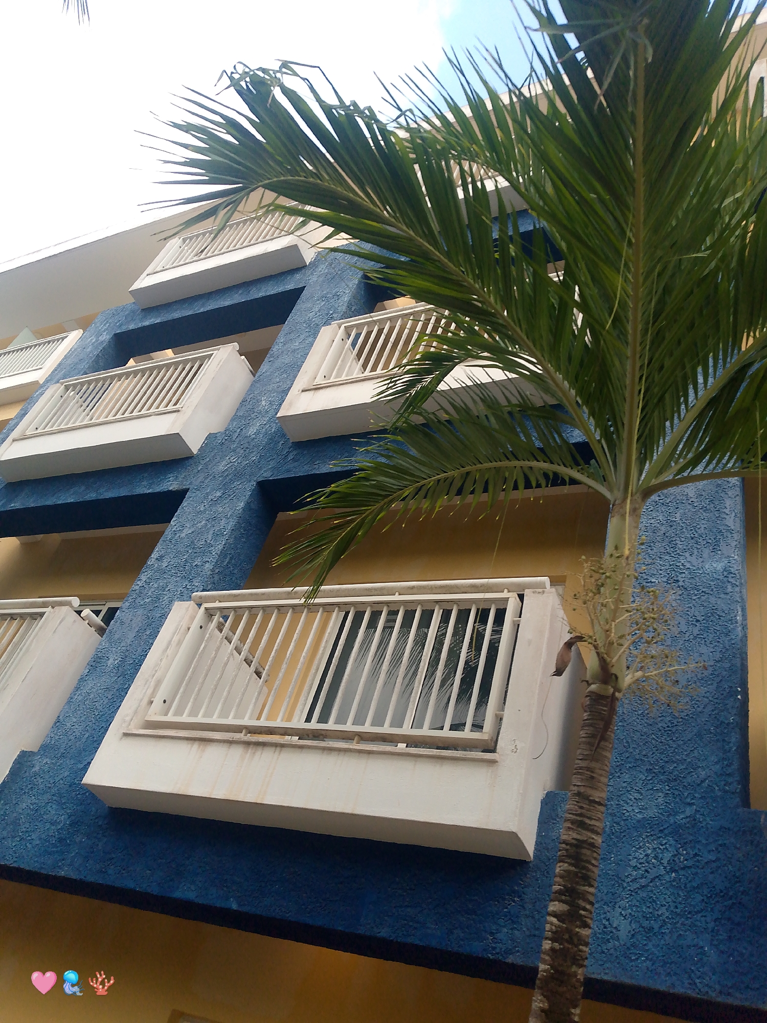 An outdoor, low-angle, eye-level shot captures the exterior of a building with a textured, blue facade and yellow walls, adjacent to a palm tree. The building features multiple balconies with white railings and white horizontal slats. The palm tree, with its textured brown trunk and green fronds, is positioned in the foreground, obscuring parts of the building. The sky is bright and overcast, suggesting daylight. The scene appears to be in a tropical or coastal location. The image includes three small emoji icons in the lower left corner: a pink heart, a blue jellyfish, and a red coral.