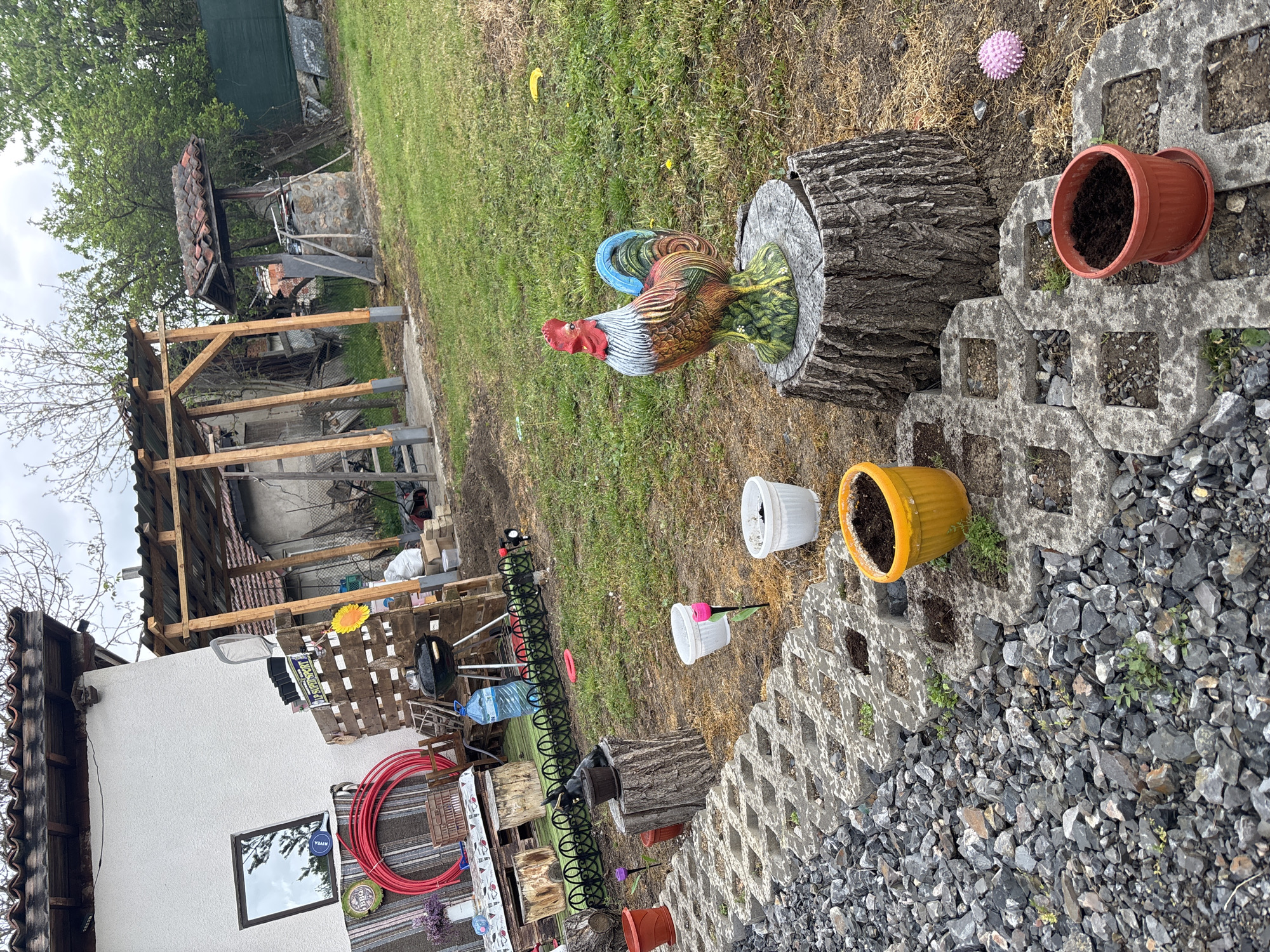 The image depicts a backyard scene in Belopoptsi, Bulgaria. A white building with a window and a partially constructed wooden structure stands on the left. A table with a red coil and various objects sits near the building. In the yard, there's a wooden stump with a rooster statue, several empty flower pots on concrete blocks, a black grill, water bottles, and a plastic toy. The ground is covered in grass and gravel.