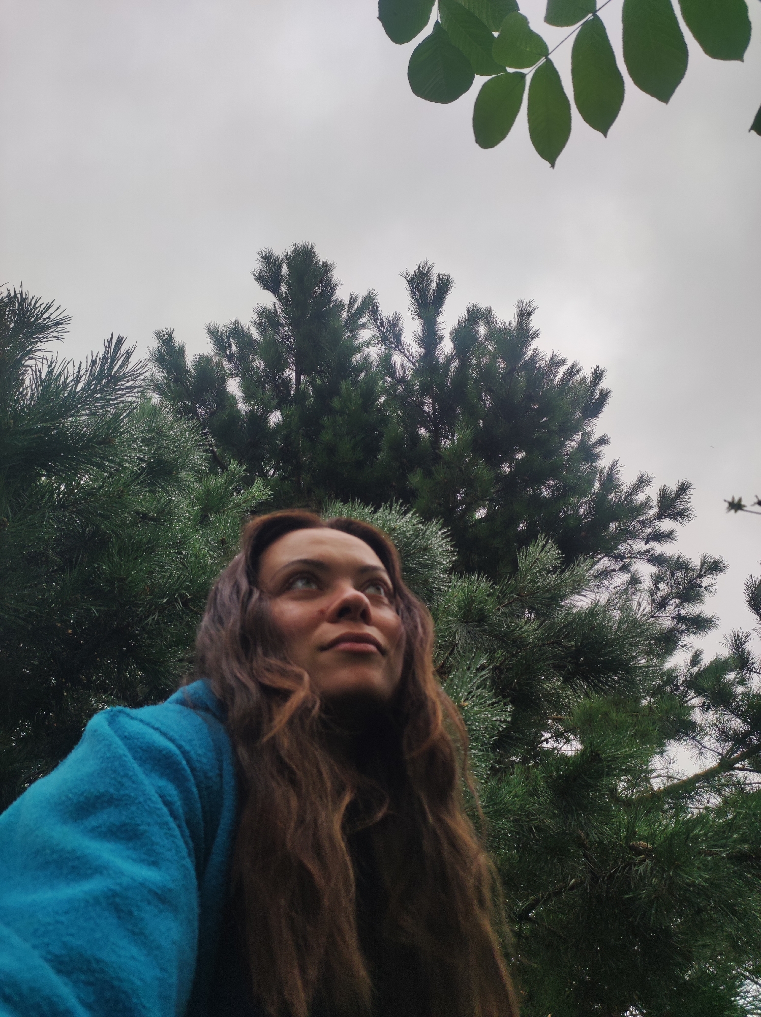 The image is a low-angle shot of a person with long, brown hair, looking upwards. They are wearing a blue fleece jacket. Behind the person is a dense evergreen tree, possibly a pine, with needles that appear wet, suggesting recent rain. The sky is overcast and a pale grey. In the upper right portion of the image, some green leaves from another tree are visible, hanging down. The scene appears to be outdoors in a natural setting. No specific location in the city of Fokino, Russia, can be determined from the image.