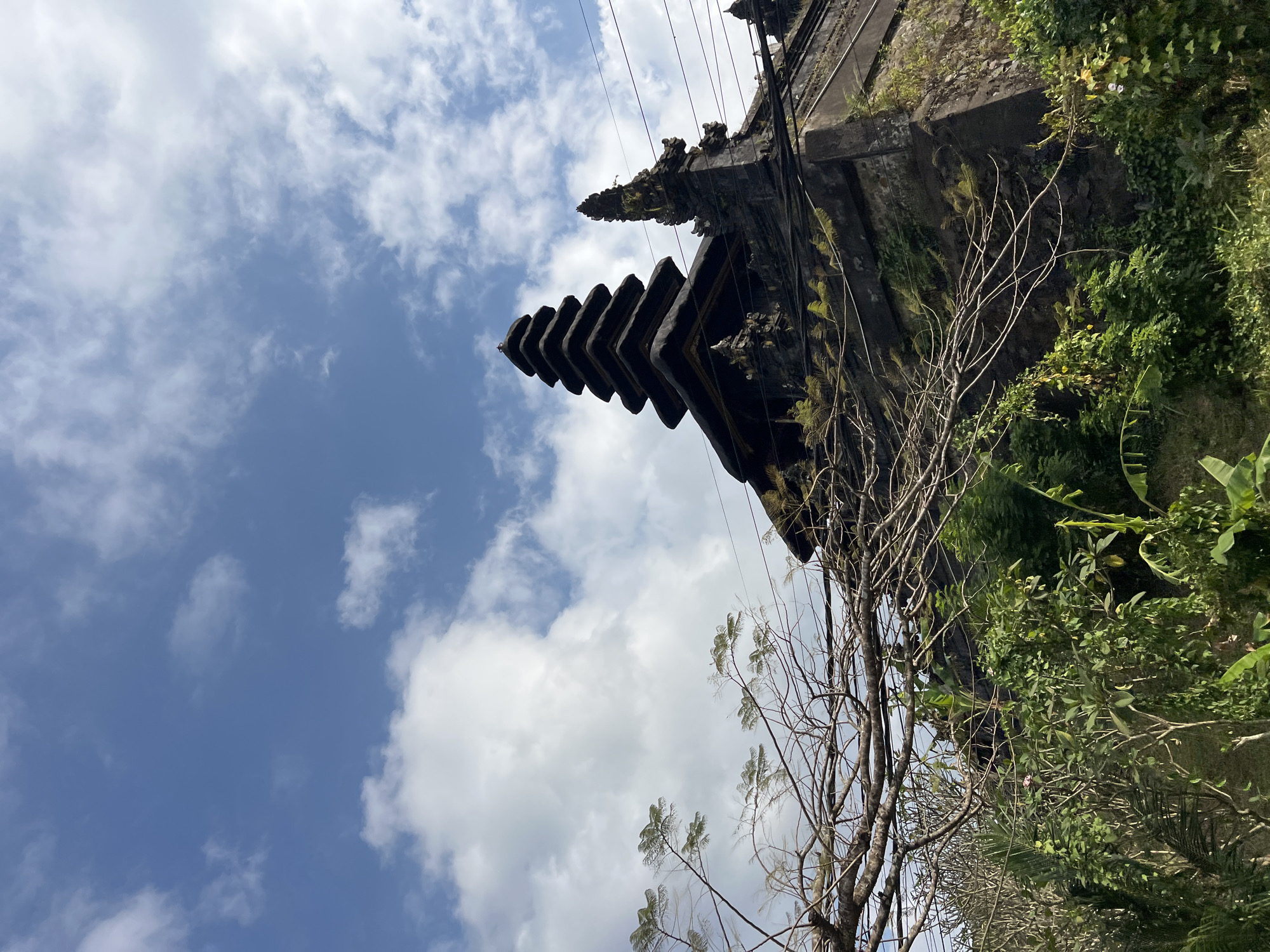 An upward-angle, medium shot captures the layered, dark, thatched roof of a traditional Balinese temple against a bright blue sky with scattered white clouds. The temple's multi-tiered meru structure dominates the upper right portion of the frame. In the foreground, a network of bare tree branches with sparse green foliage crisscrosses the lower left, obscuring some of the temple's lower stonework. Lush green vegetation, including broad leaves and vines, grows densely at the base of the temple and along its right side. Electrical wires are visible strung across the top of the temple and in front of the sky. The scene is set in the city of Pupuan, Indonesia.