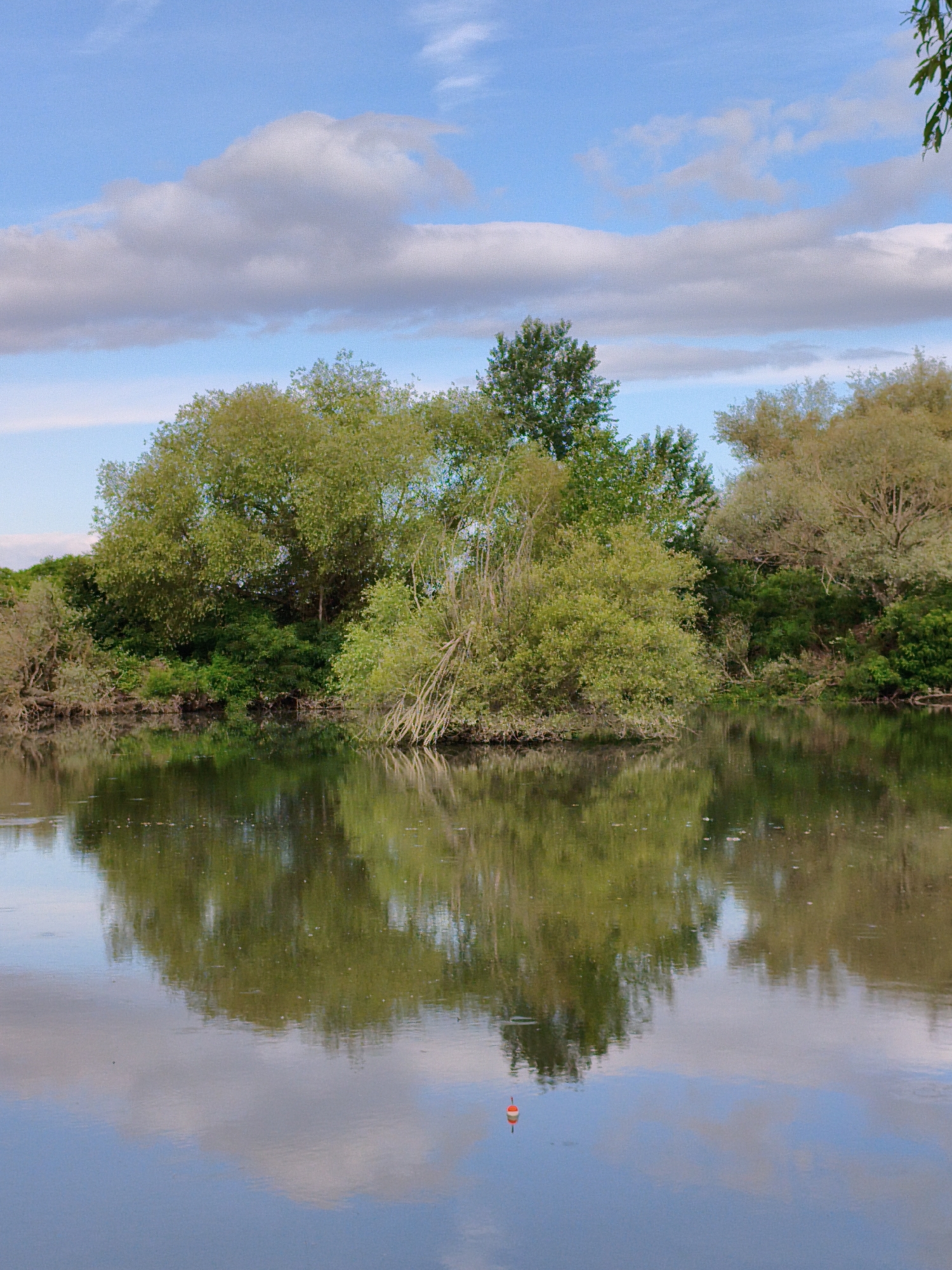The image captures a serene natural scene beside a body of water, likely a lake or river, near Krushare, Bulgaria. The foreground is dominated by the calm, reflective surface of the water, showing a clear mirror image of the lush green trees and the partly cloudy blue sky above. A single, small red and white fishing bobber floats in the lower center of the water, its reflection also visible. The background consists of a dense line of trees and foliage lining the bank of the water, with a variety of green hues indicating different types of vegetation. The sky above is a vibrant blue, dotted with soft, white clouds. The overall impression is one of tranquility and natural beauty.