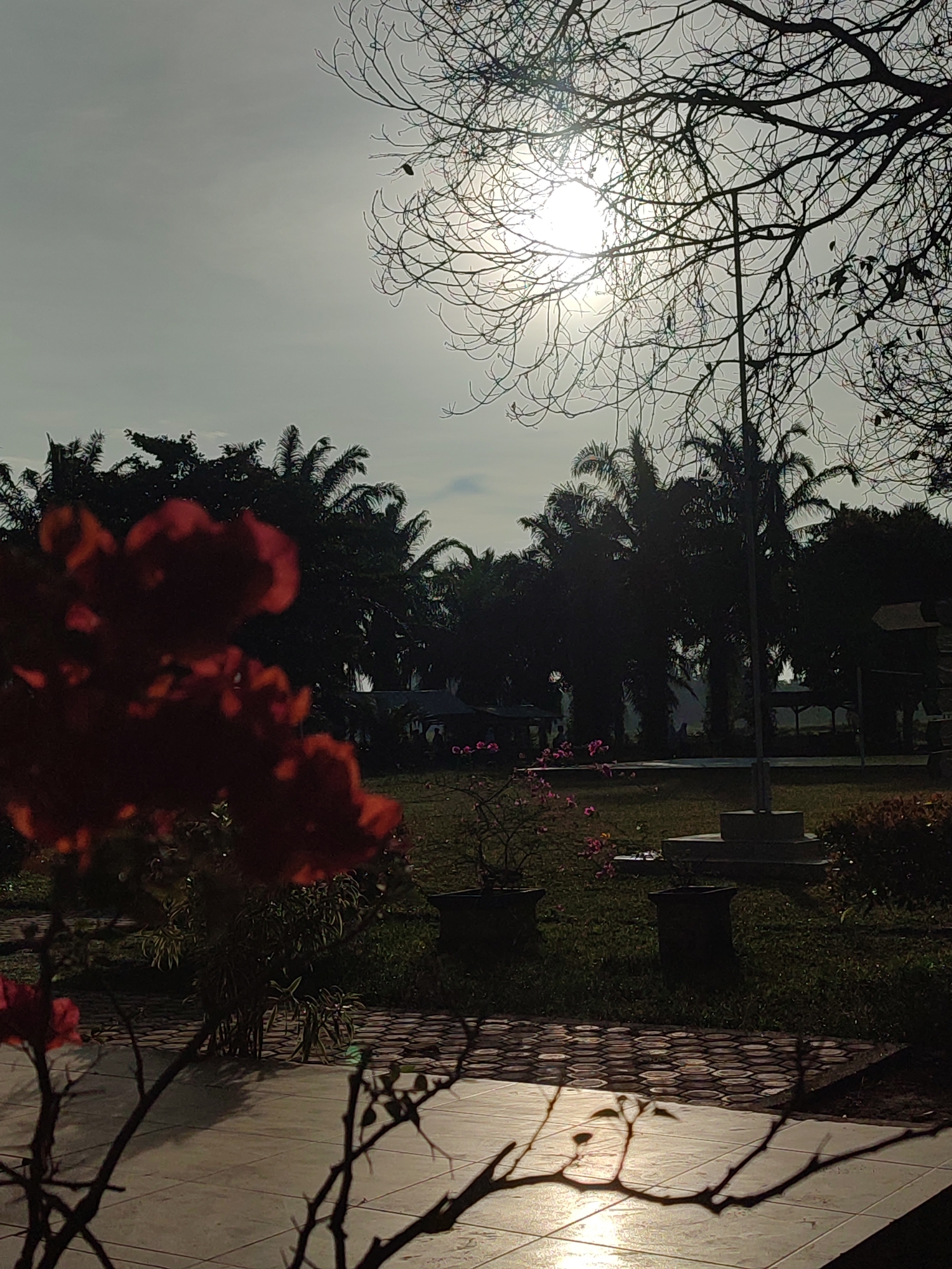 The image depicts an outdoor scene in Blangriek, Indonesia. The foreground features red flowers in partial focus, with their branches casting shadows on a tiled surface. Beyond the flowers, a grassy lawn extends towards a row of dark, silhouetted trees, likely palm trees. In the mid-ground, there is a structure with a pole extending upwards. The sun, positioned high in the sky, is partially obscured by tree branches, creating a bright glare. The overall lighting suggests either early morning or late afternoon. The scene appears to be a public park or garden.
