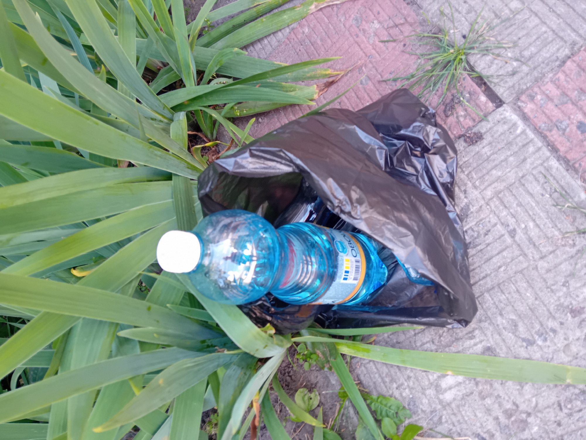 A plastic bottle of water with a white cap sits inside a black plastic garbage bag. The bag and bottle are on a paved walkway with red and grey paving stones. To the left of the walkway are tall, green plants. The scene is outdoors in daylight.