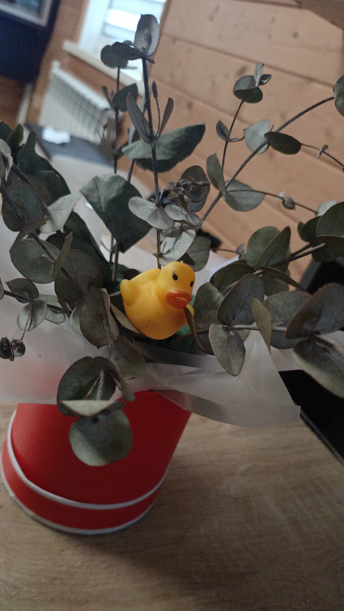An indoor scene displays a small yellow rubber duck toy partially visible among eucalyptus branches. The duck features black eyes and an orange beak. The eucalyptus branches, with their grayish-green ovate leaves, are wrapped in white paper and contained within a red cylindrical vessel. This vessel exhibits two thin white horizontal stripes near its base. The arrangement rests on a light brown wooden surface. In the blurred background, a light-colored wooden wall is visible, along with a bright rectangular light source or window, and a metallic, ribbed object consistent with a radiator positioned below the light source. No individuals are present. Location: Unknown, Unknown.