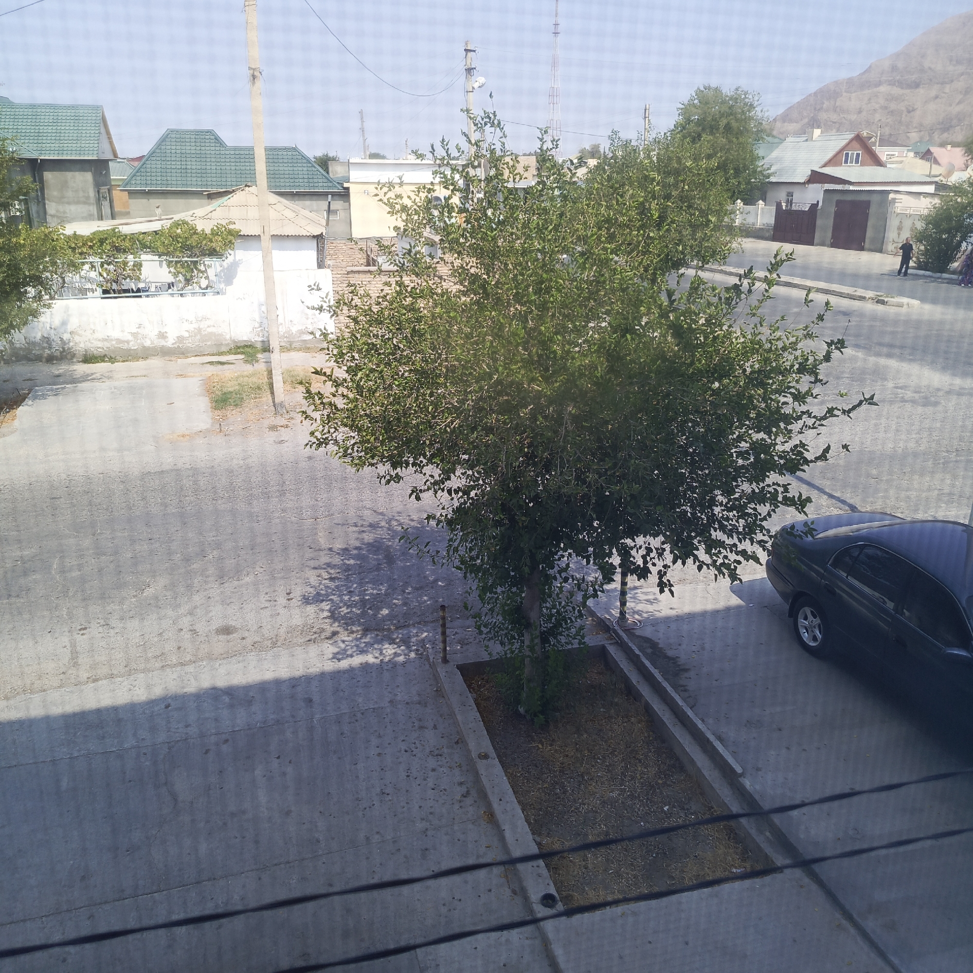 This image, taken from a high vantage point in Balkanabat City, Turkmenistan, depicts a residential street scene. A central focus is a mature tree with dense green foliage, planted within a raised concrete planter box containing dry grass and dirt. To the right of the tree, a dark-colored sedan is parked on the asphalt road. The road is lined with a concrete sidewalk and the edge of a street. In the background, several houses are visible, characterized by their green tiled roofs and light-colored walls. Some houses have wooden gates and fences. A utility pole with wires stands to the left of the tree, and a rocky, arid hillside forms the backdrop of the scene. The sky is clear and blue.