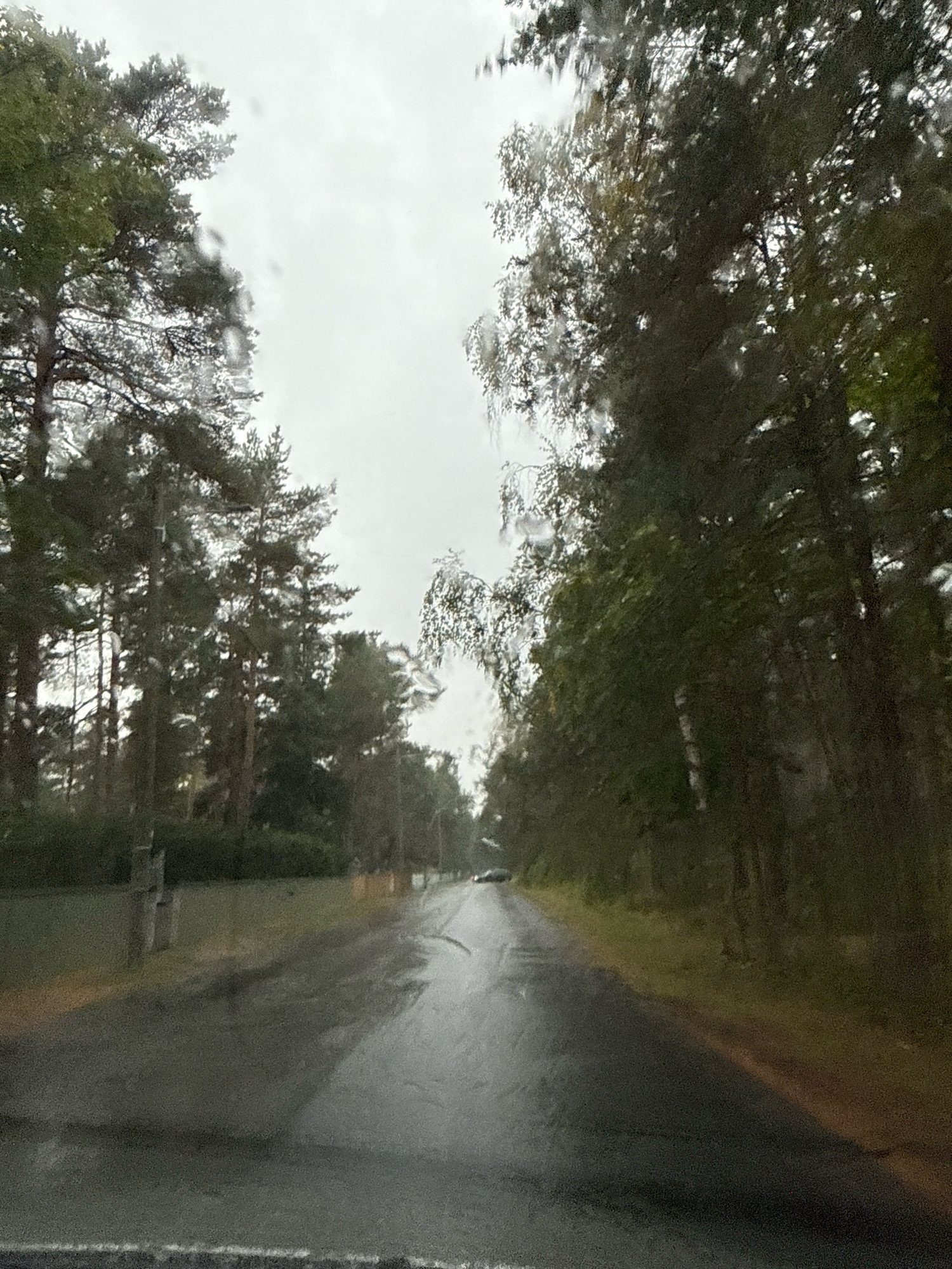 This is a first-person perspective shot from inside a vehicle, looking out through a wet windshield at a tree-lined road on an overcast day. The road is dark and wet, reflecting the overcast sky. On the left side of the road, there are tall pine trees. On the right side, the trees are a mix of pine and deciduous trees, with some foliage appearing autumnal. There is a dark colored car in the distance on the road. The environment suggests a suburban or rural area. The image does not provide specific visual cues that would allow for precise identification of the location within Tallinn, Estonia.