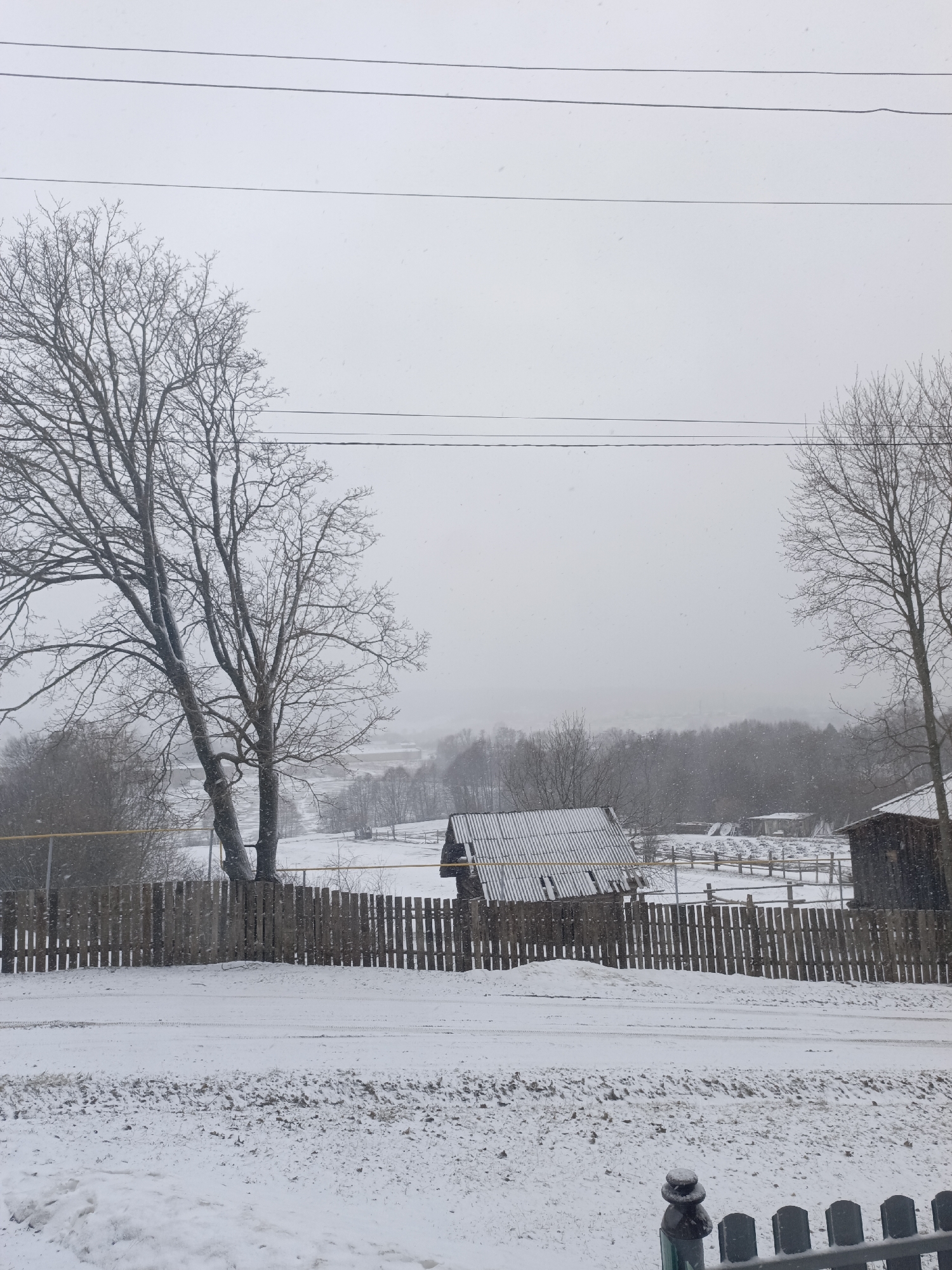 The image depicts a snow-covered scene in Большой Букор, Russia. A dirt and snow-covered road runs in the foreground, separated from a cluster of buildings by a wooden fence. Behind the fence, several structures are visible, including a small building with a corrugated roof and another dark-colored shed. In the midground, there is a snow-covered field with sparse trees and what appear to be livestock pens. Bare trees stand to the left and right sides of the frame, their branches stark against the overcast sky. Power lines run horizontally across the upper portion of the image. The weather is snowy, creating a muted, gray-scale aesthetic.
