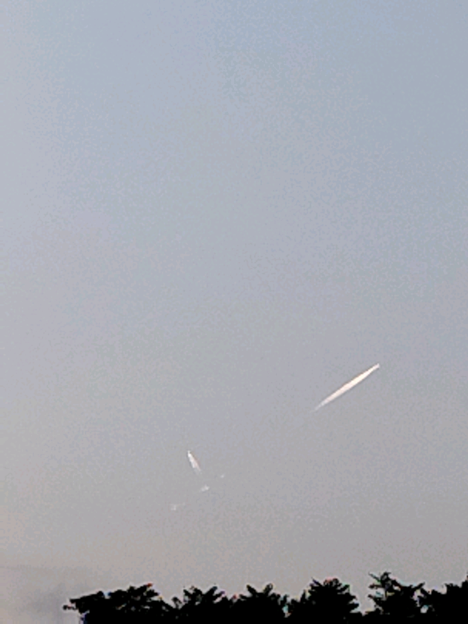 The image captures a hazy sky over a silhouetted treeline. In the upper portion of the frame, two distinct white streaks are visible against the muted sky, appearing to be contrails left by aircraft. One streak is longer and curves upwards and to the left, while the other is shorter and more angled. Below the sky, a dark, jagged line of trees forms the horizon. The overall impression is one of a cloudy or overcast day, with man-made aerial phenomena superimposed on a natural landscape. The location is specified as Bucharest, Romania.
