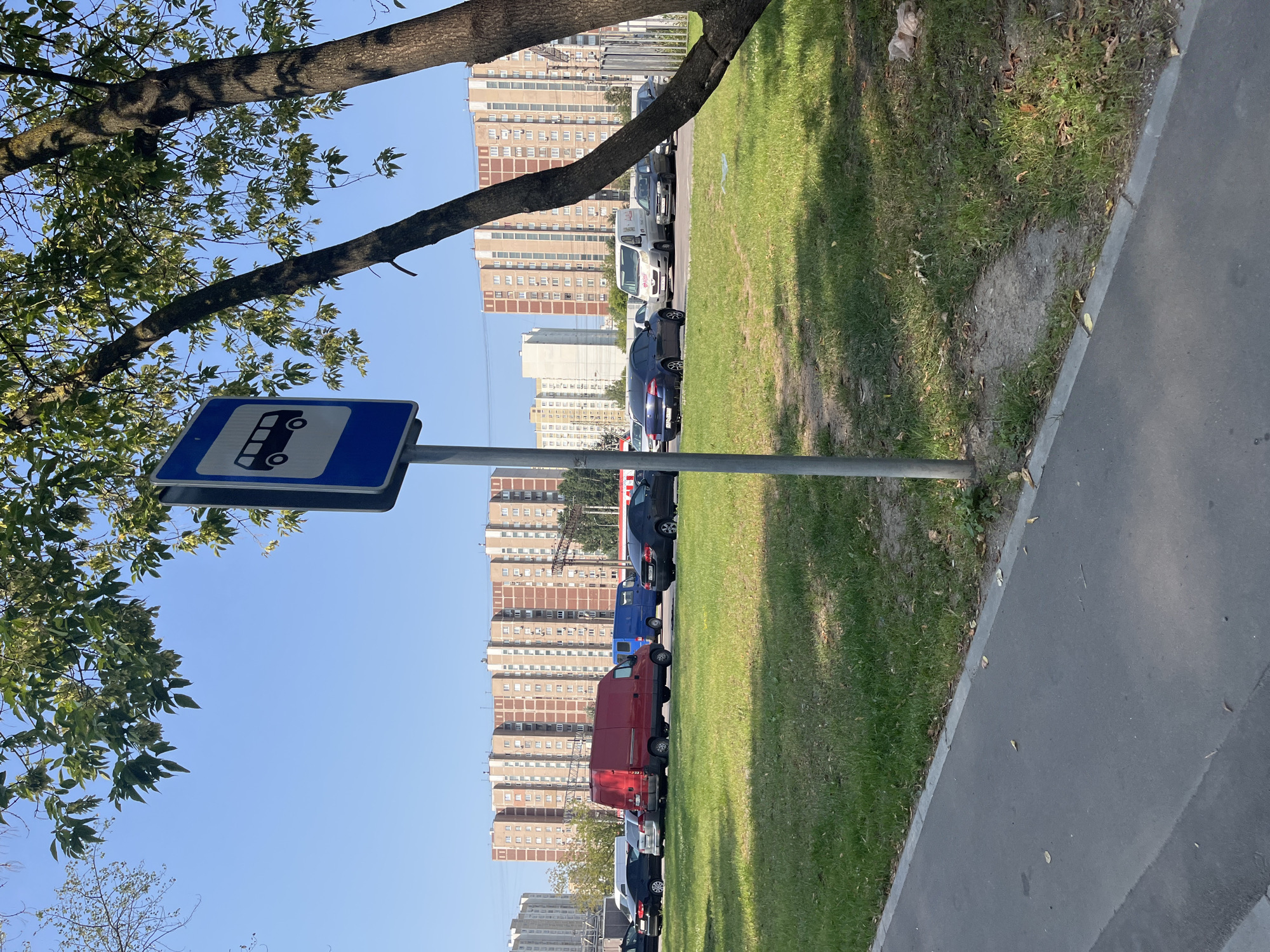 An eye-level, medium shot captures a street scene under a clear blue sky, featuring a bus stop sign prominently in the foreground. The sign, a blue rectangle with a white border, displays a black silhouette of a bus. A bare metal pole supports the sign. To the right, the textured bark of a large tree trunk dominates the frame, with its branches and green leaves obscuring parts of the sky.
Behind the sign and tree, a paved road is visible, with several cars parked or driving along it. Notable vehicles include a bright red van, a blue van, and several dark-colored passenger cars. Beyond the road, a grassy area slopes gently upwards, dotted with fallen leaves.
In the background, a row of tall, multi-story apartment buildings stretches across the horizon. These buildings are characterized by their light brown and beige facades, with numerous windows and balconies. The overall environment suggests an urban setting in Moscow, Russia, likely during daylight hours given the bright sunlight and clear sky. There are no people visible in the frame.